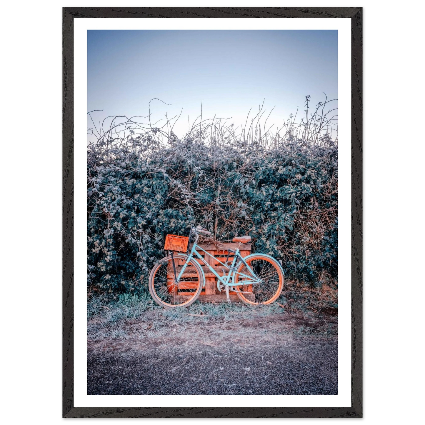 ea76461e-ebfb-4bc0-92b6-ed02eacd3076