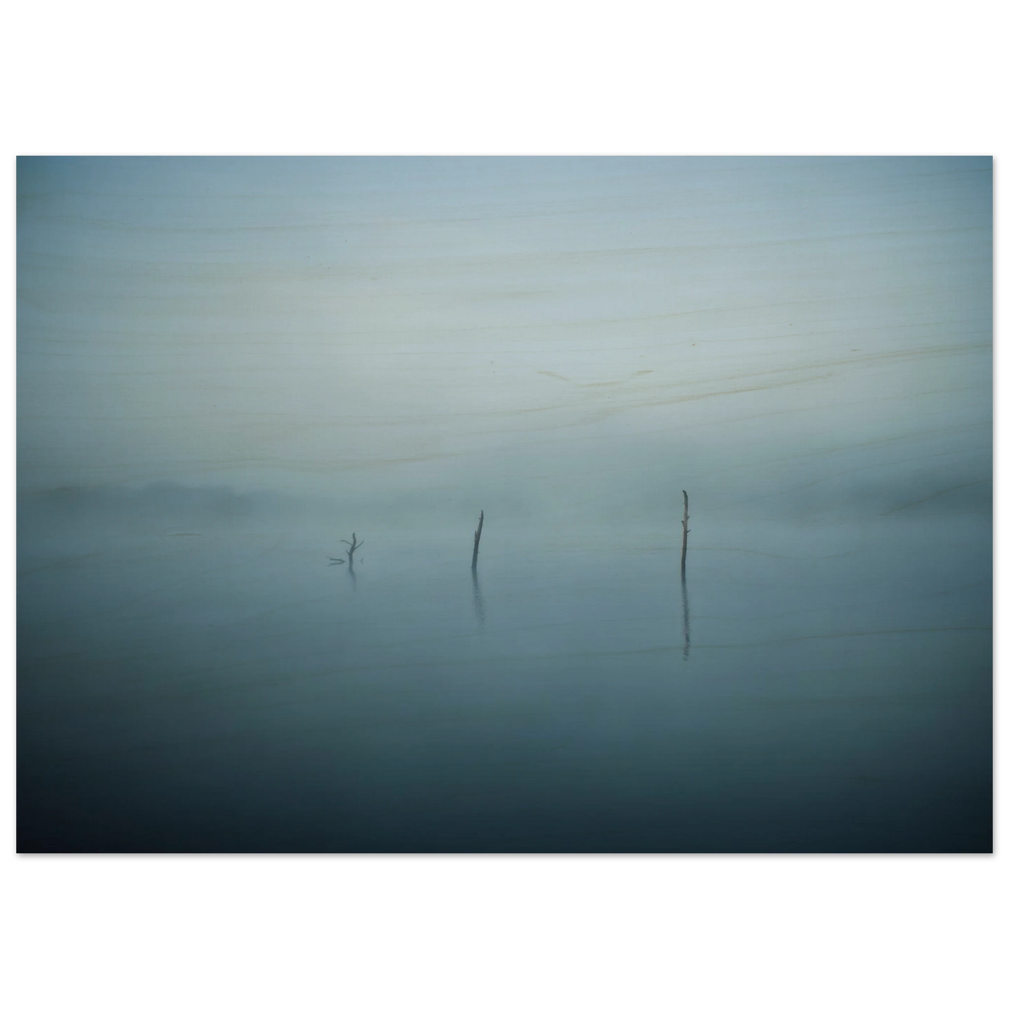 ea8d9c64-def3-460c-b3d6-2cde477ef250