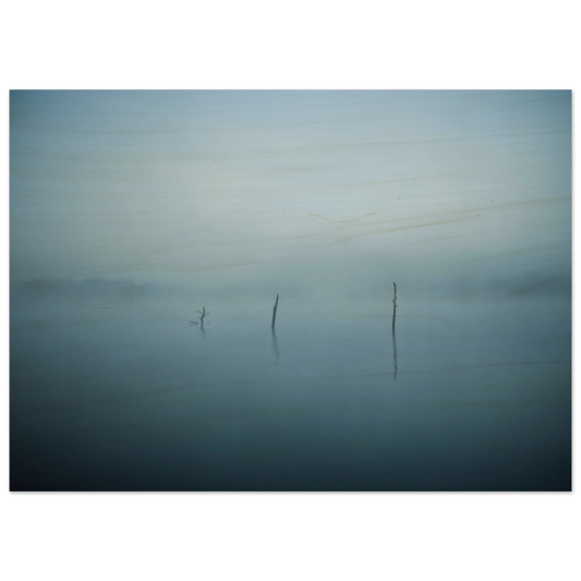 ea8d9c64-def3-460c-b3d6-2cde477ef250