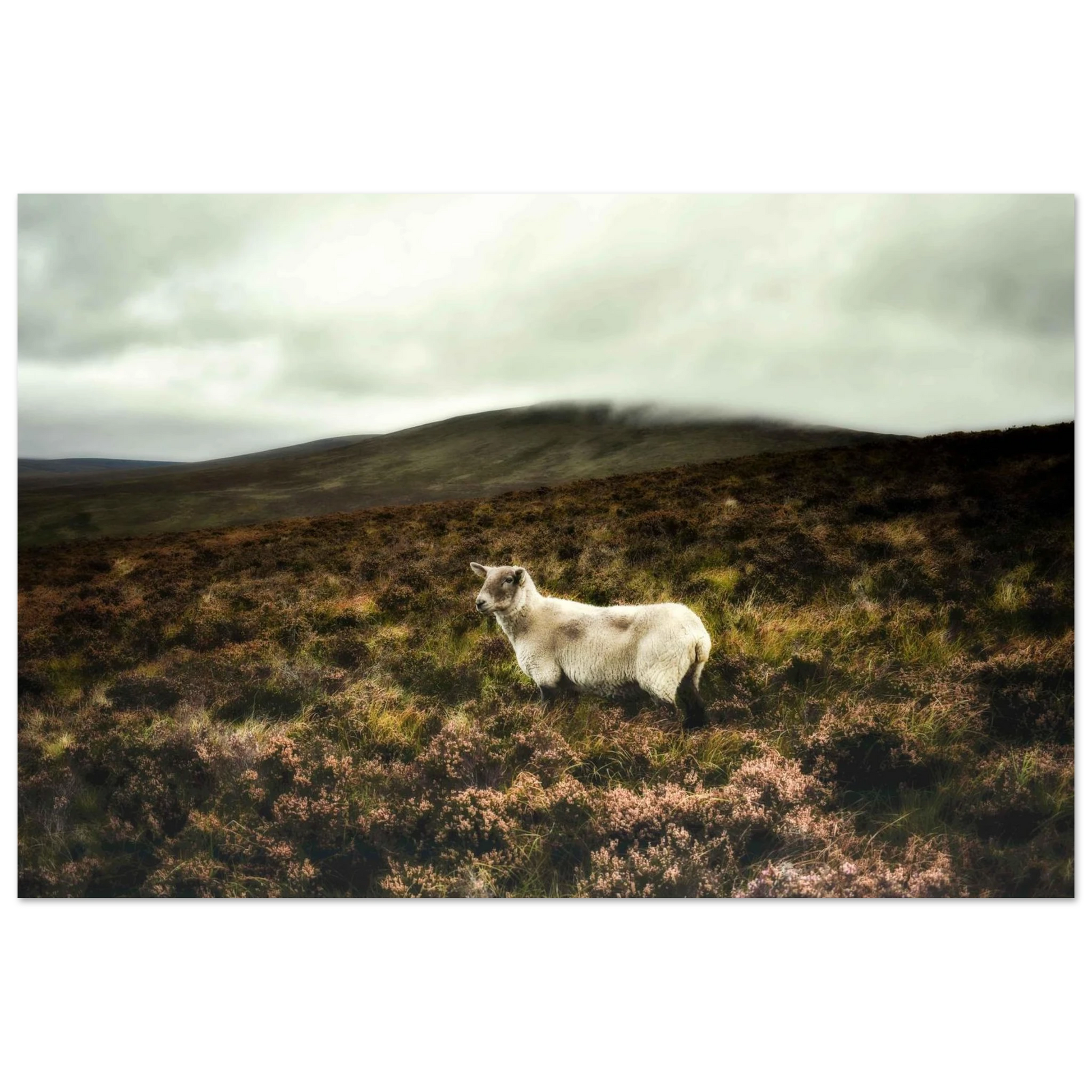 ead47244-ef10-4f1d-bb1f-ce860564cee4