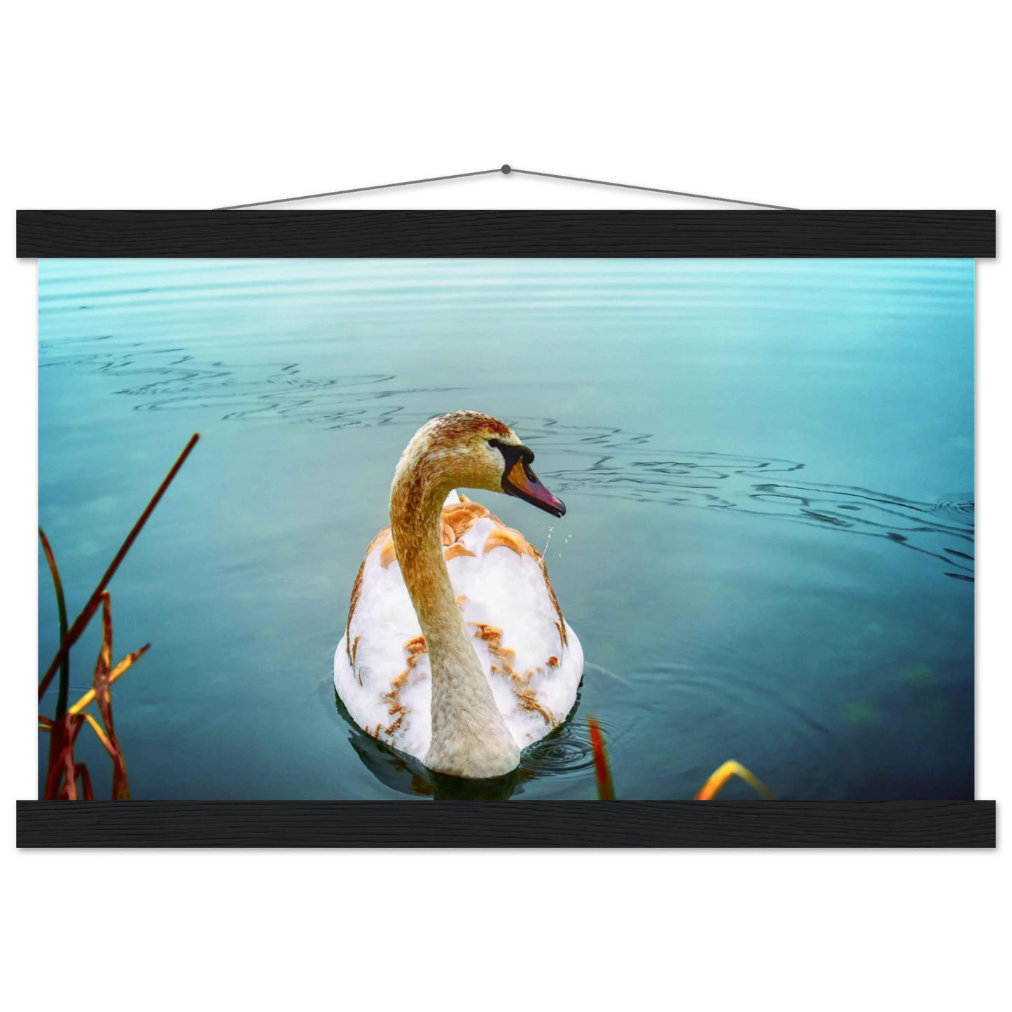 eb2b38d3-161c-4b62-95e6-c3bccb9ffade