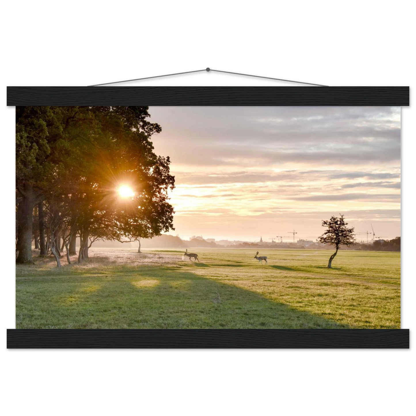 eb338ce7-2b36-4910-90db-0abdb455934d