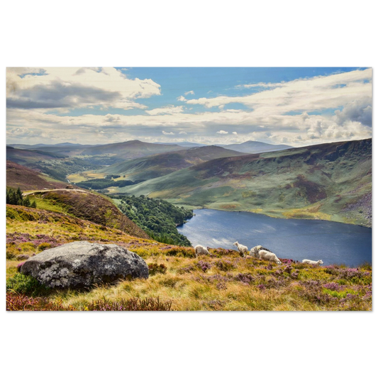 eb54b9c6-3a9c-40f9-a4b5-e5f899c33023