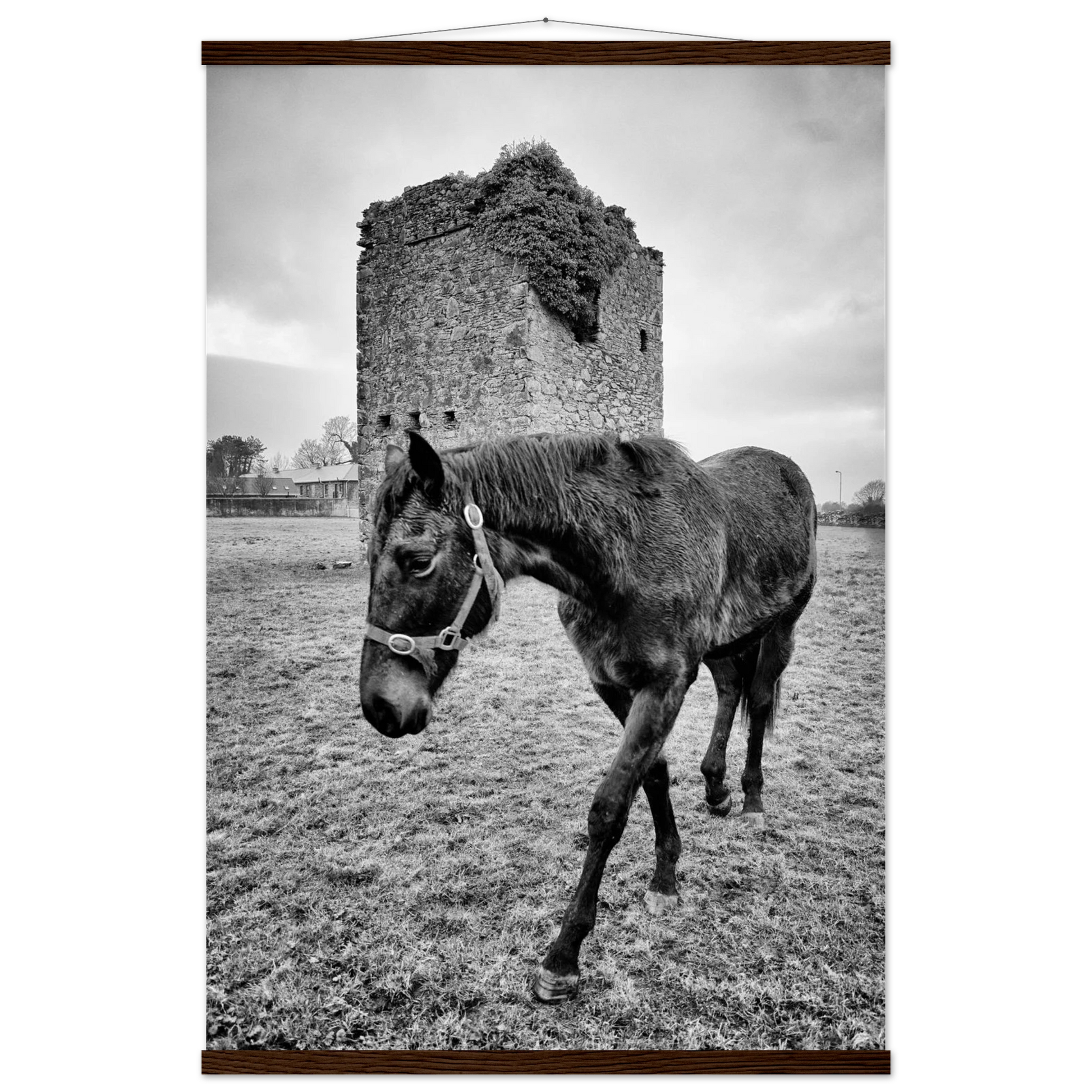 eb684e0d-5baf-4f6d-93ae-e14ca7989edf