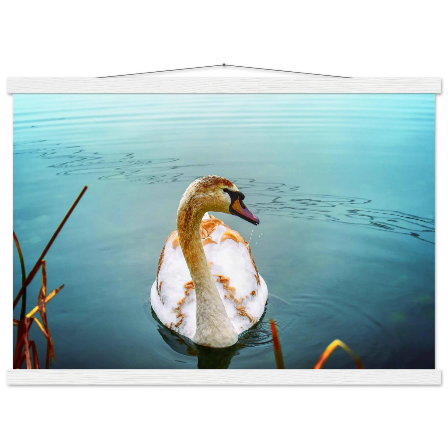 eba2cbe8-a61f-4a97-a202-990d1e4d178b