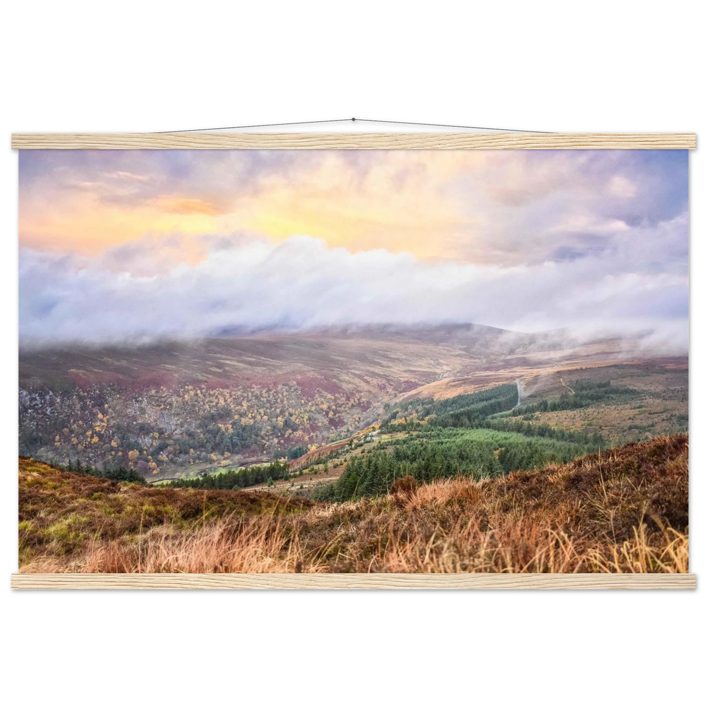 ebacbc1f-1ebc-4296-a8eb-51c57e07a846