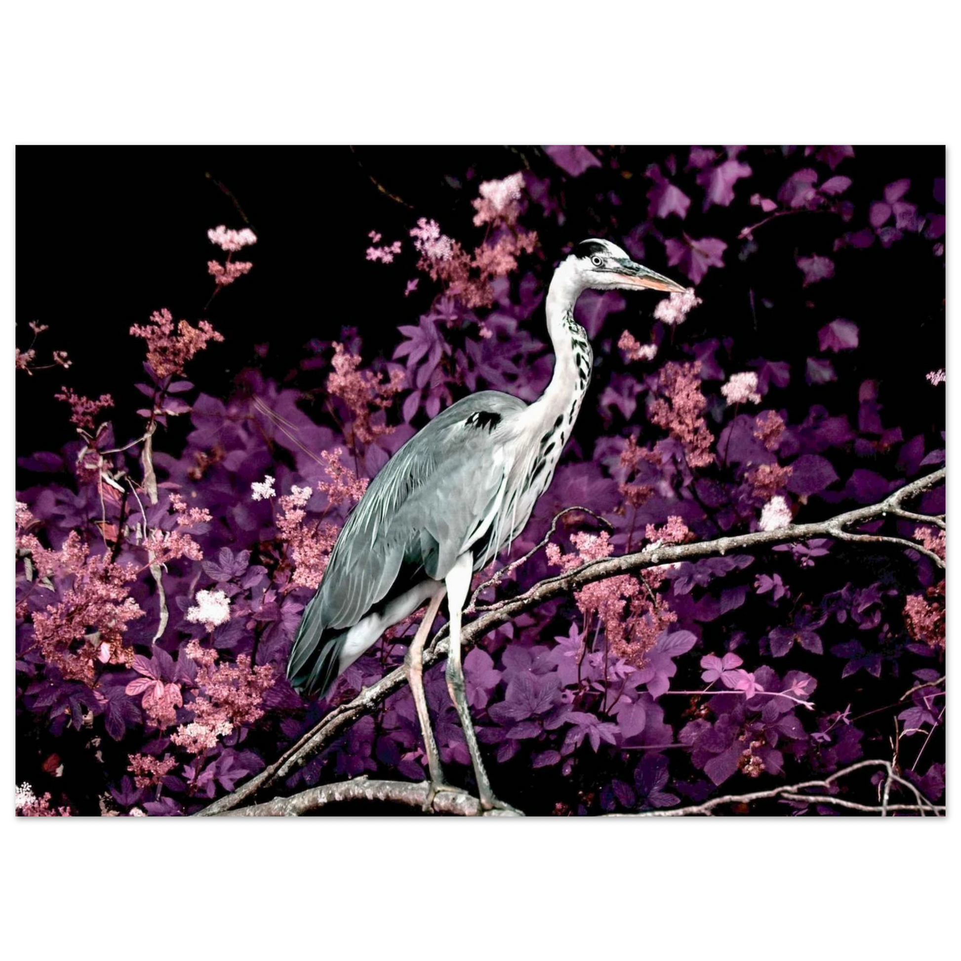 ec3a21b1-b04c-440e-b3e9-fc30798f0574