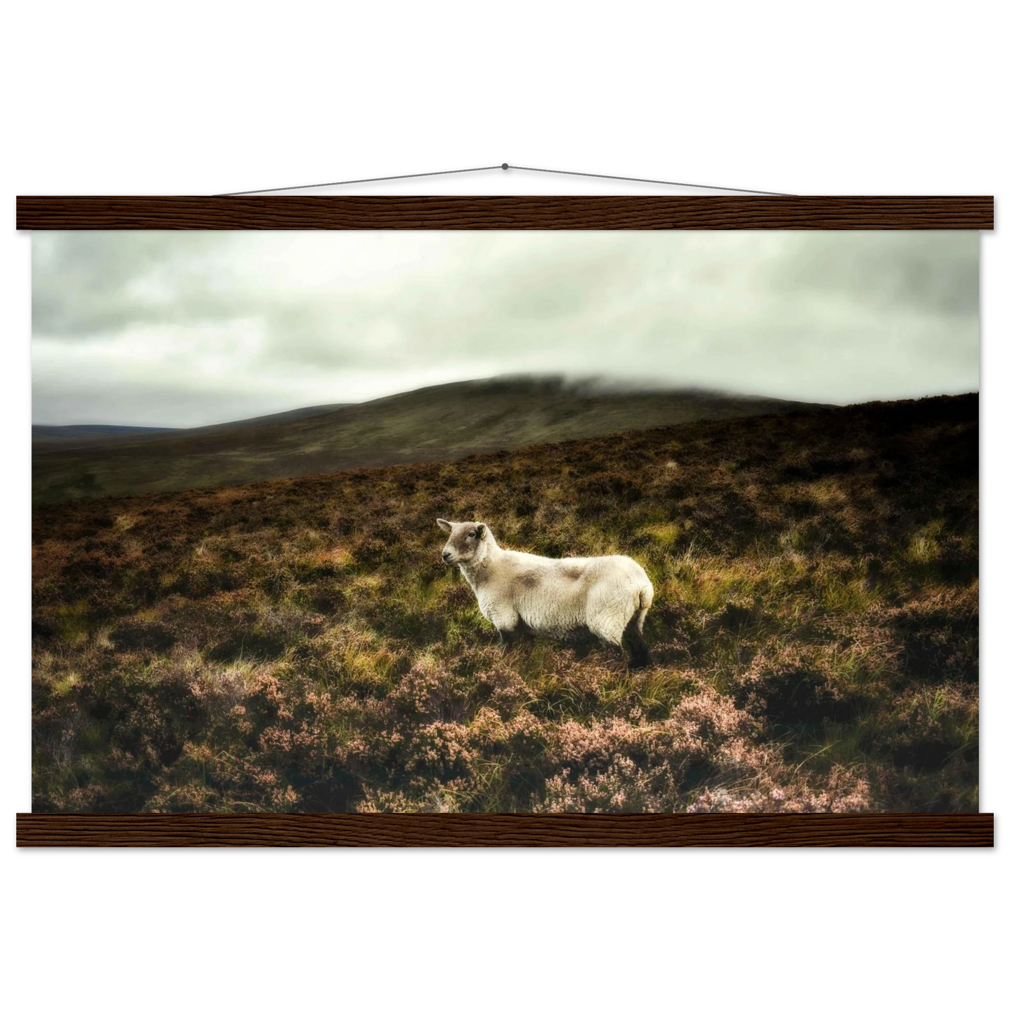 ec9f371e-d045-4822-aa65-53f2263fd23f