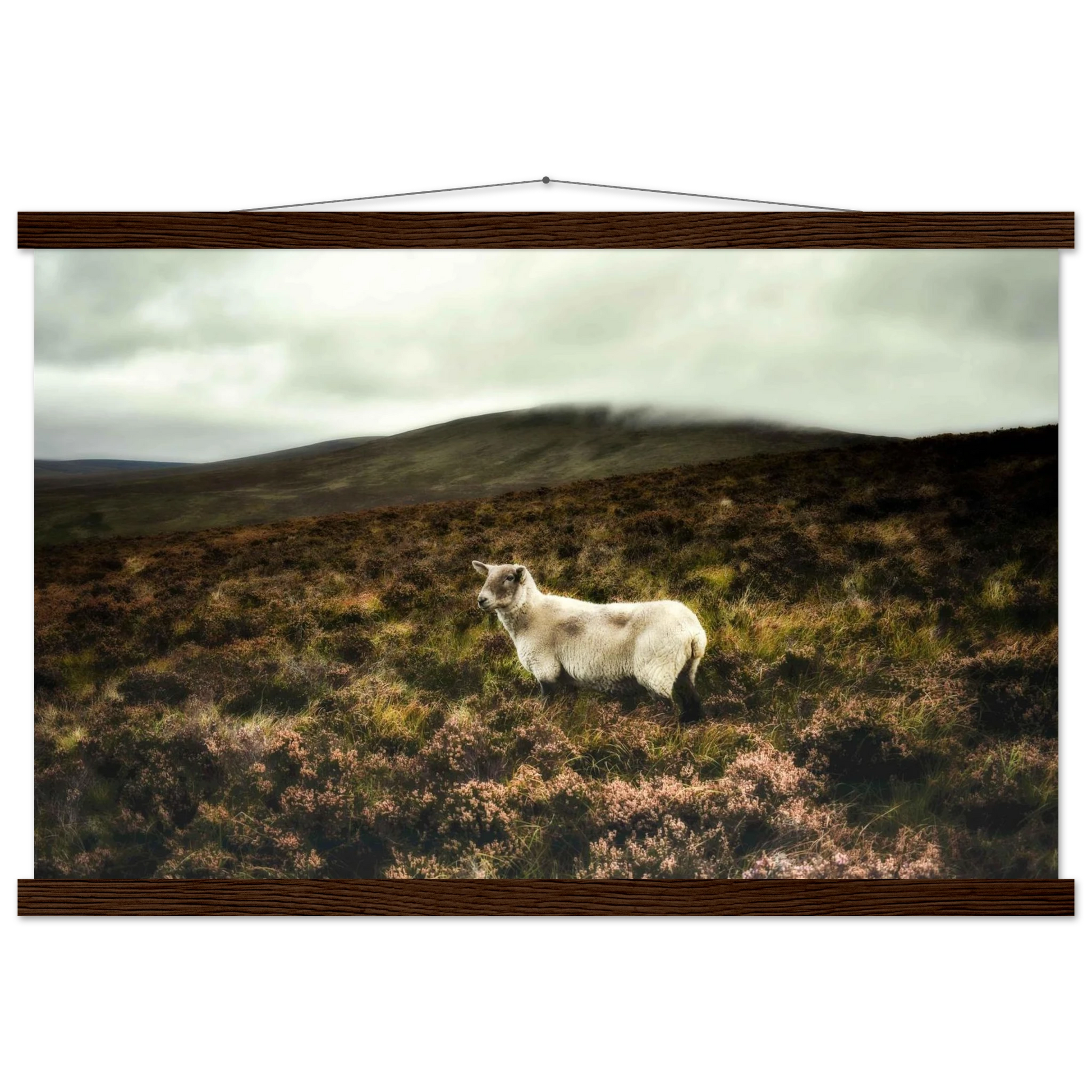 ec9f371e-d045-4822-aa65-53f2263fd23f