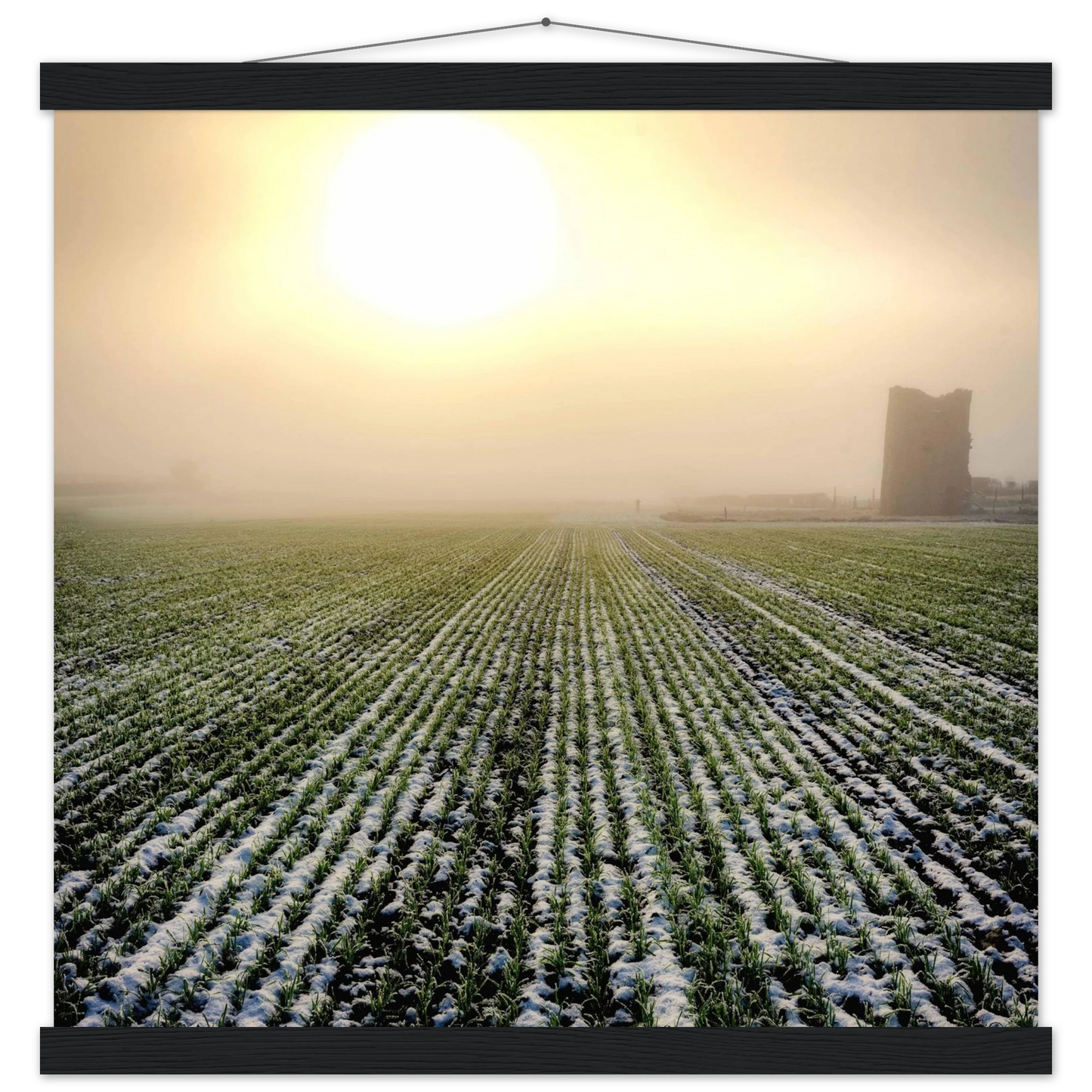 eca5e714-4a94-4782-9d6e-3dbb8393cc3d