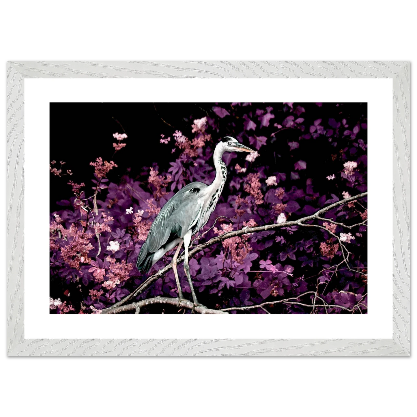 ecf191cc-9114-4fc6-b8a9-cbf9f53b0576