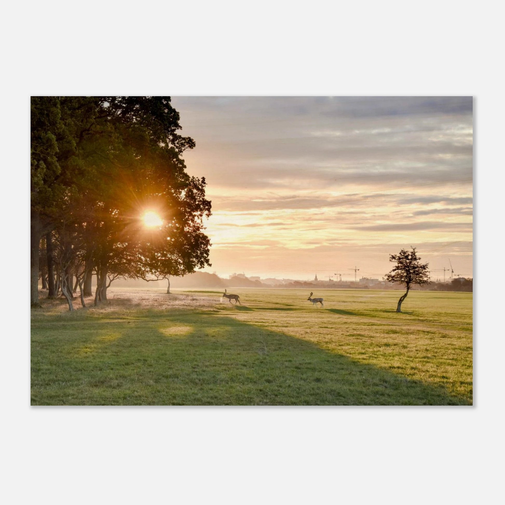 ecf43e61-4937-4dc9-bdc4-6aceb40f0057