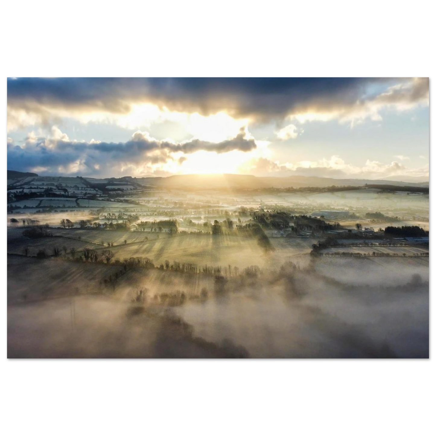 ed2d9c0a-399d-4a3a-a5af-33e6c8f18792