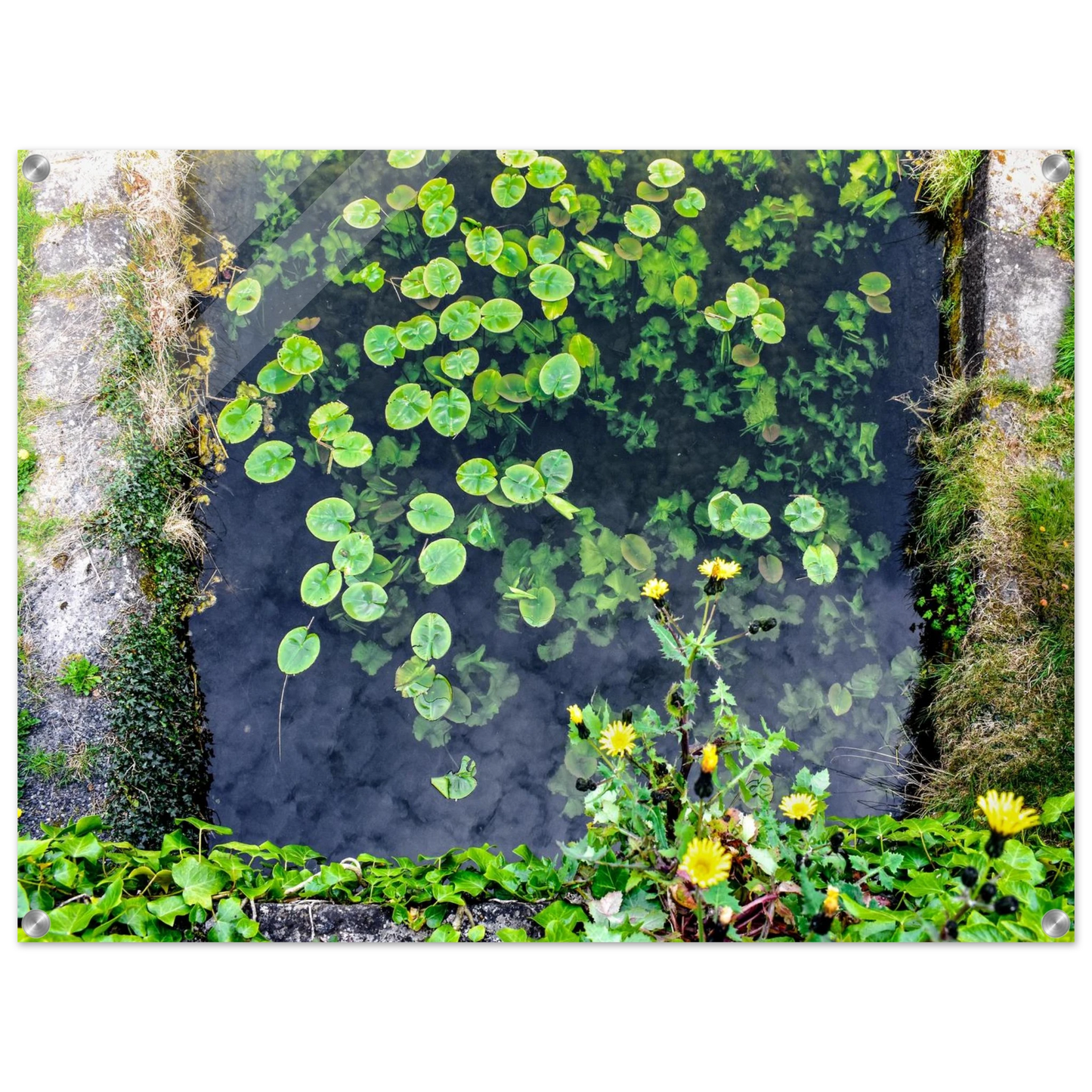 ed42ff22-efec-462d-8056-19d8239ce4a8