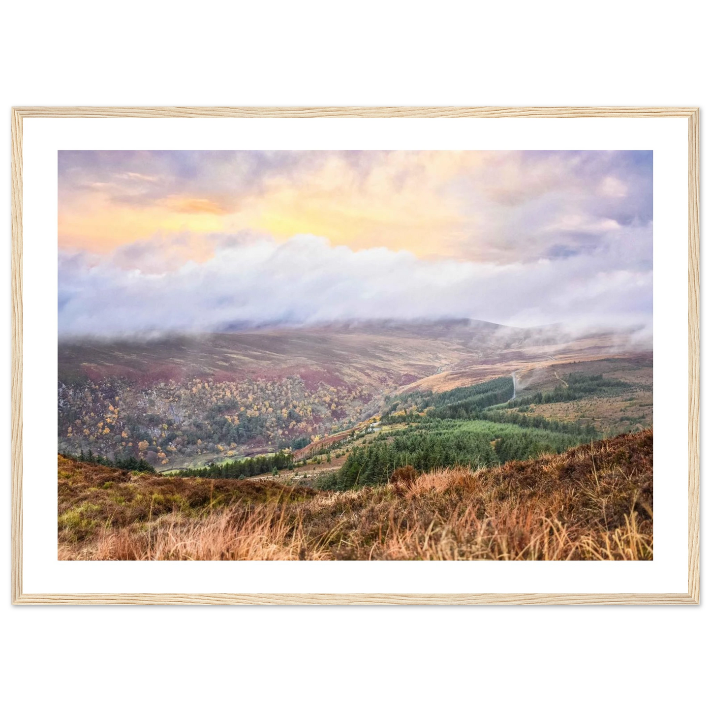 ee910eec-0bec-4e6a-8eb6-f3f2bd2b7b03