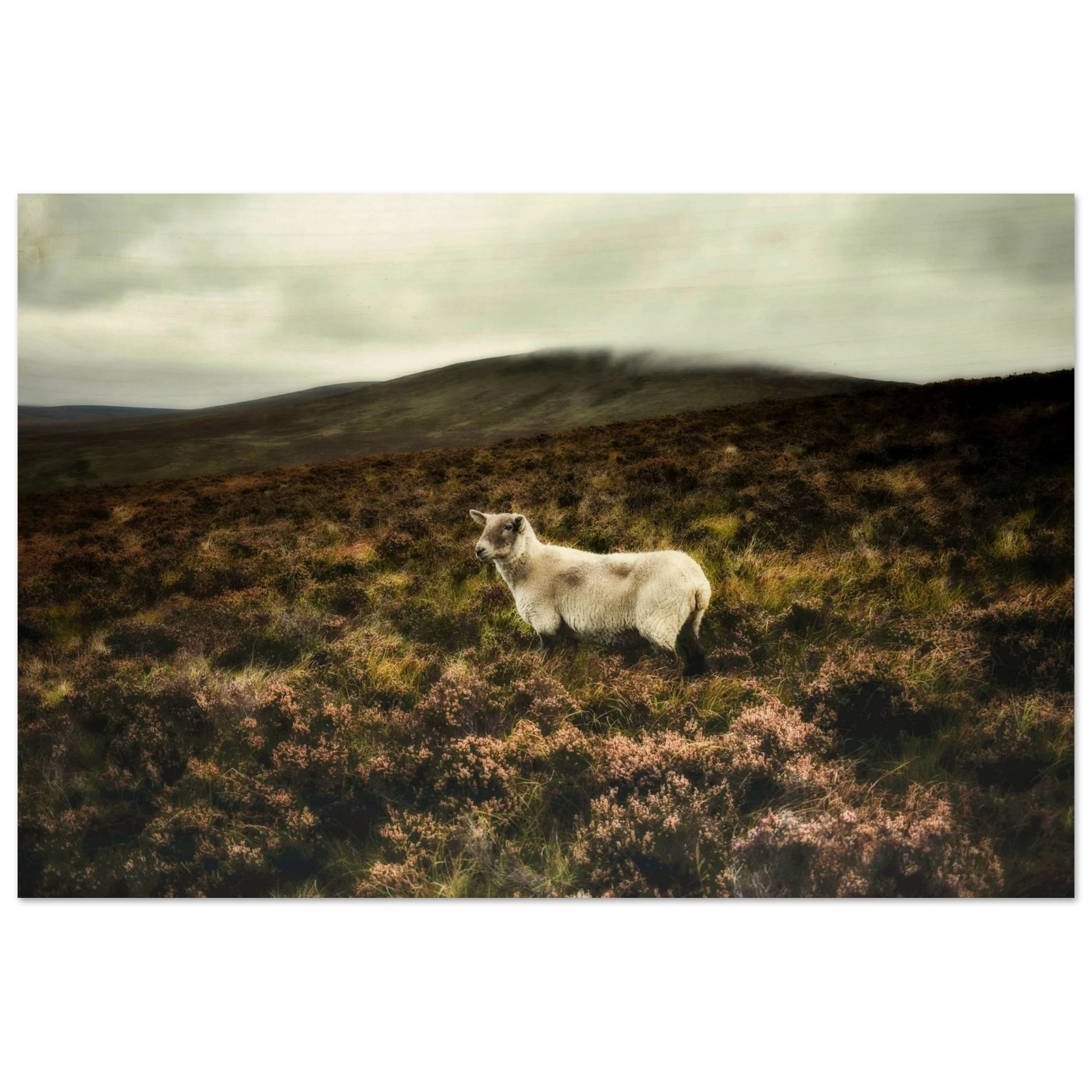 eeeffa1e-b5d7-44e2-b268-96a996e18821