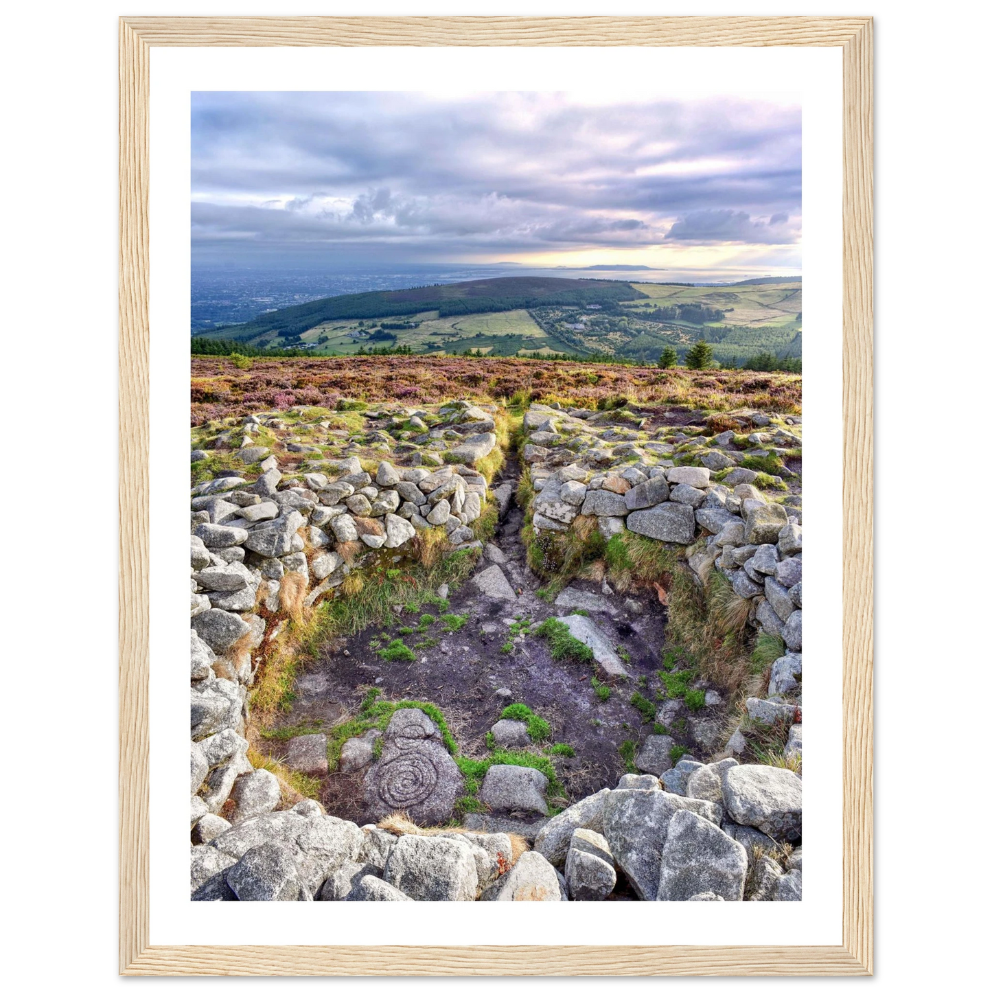 ef104c7f-f6d9-4876-9204-ab7b0df46073