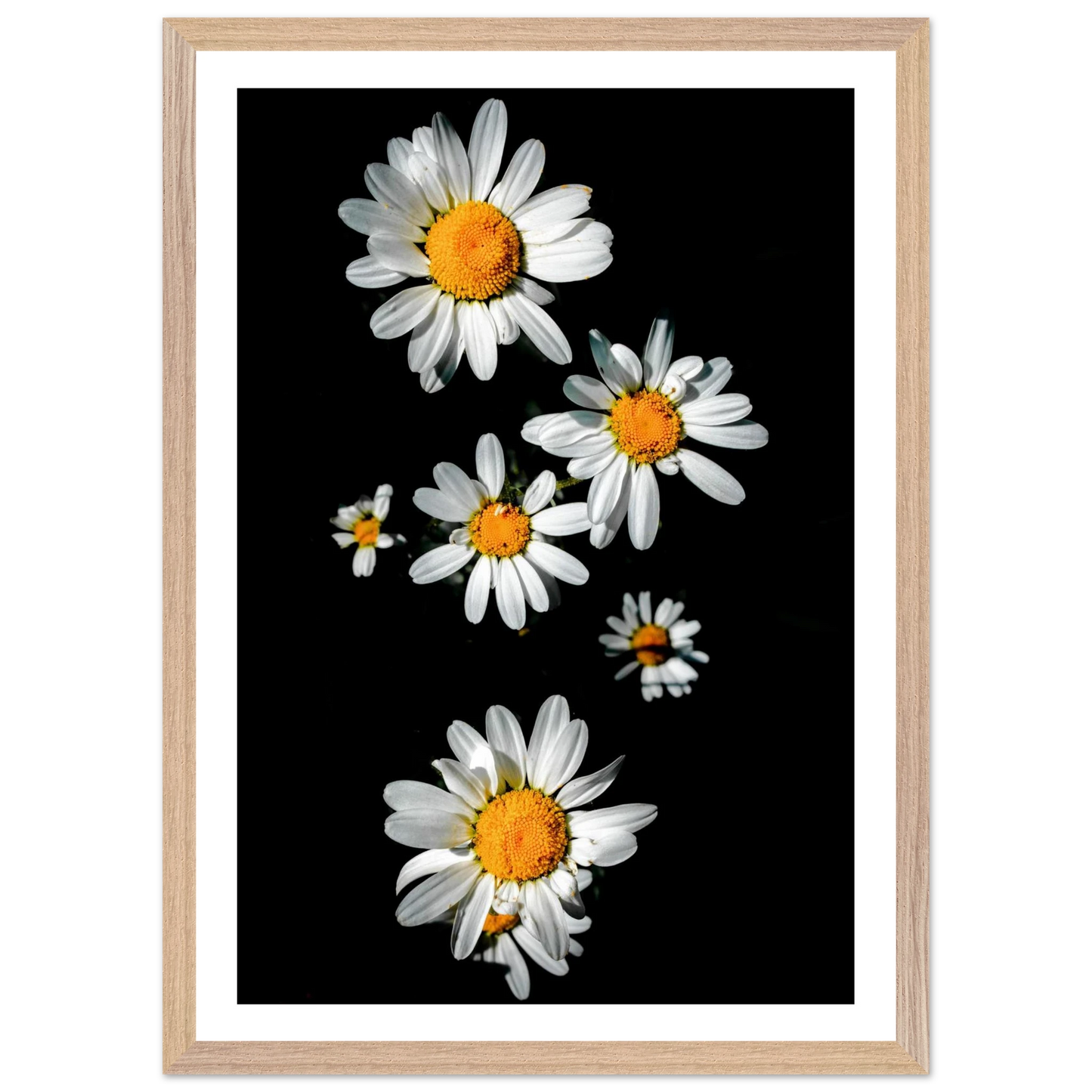 ef11c6da-7f99-4254-9bbe-422f002a9903