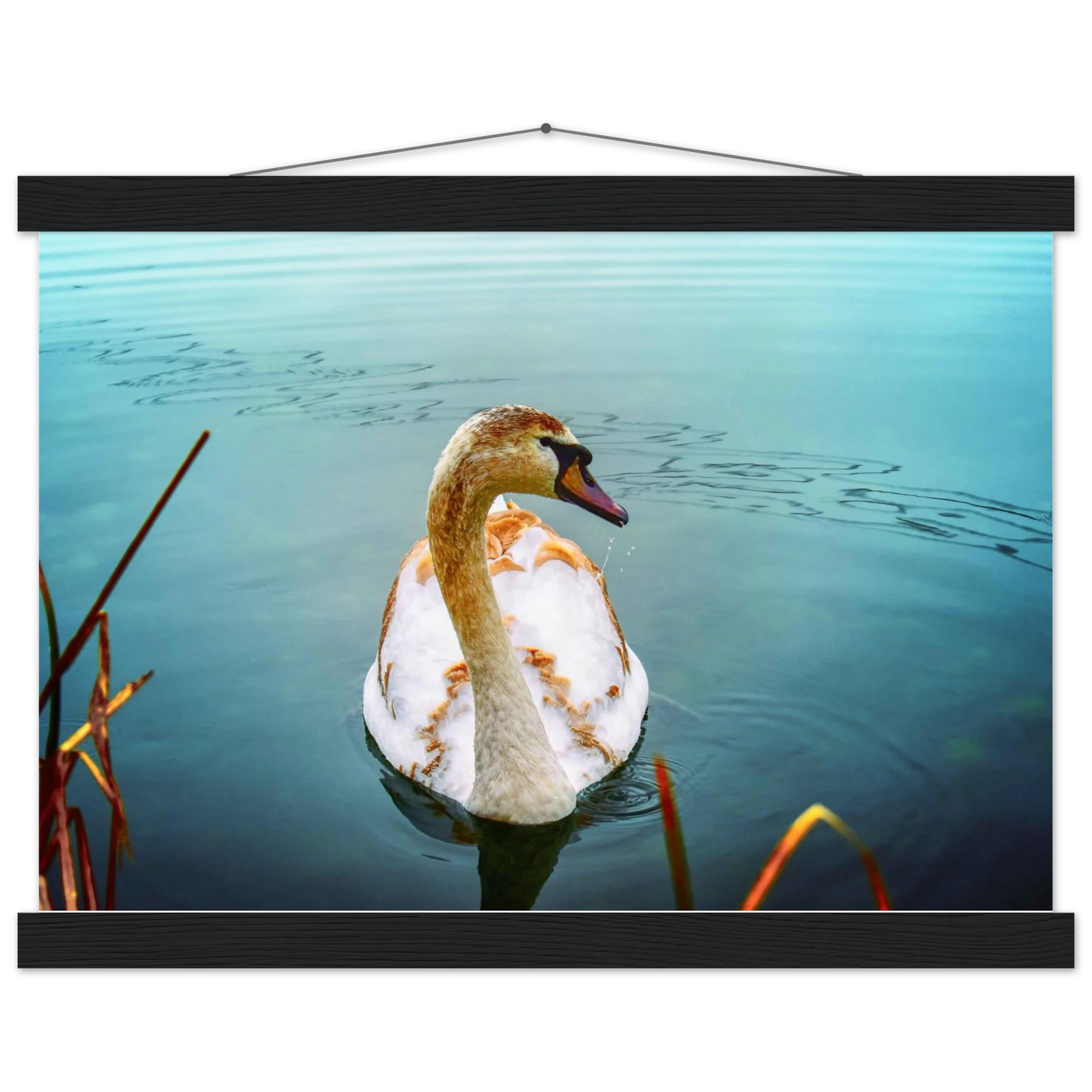 ef52cb89-fc3d-4888-bd88-80933ca19433