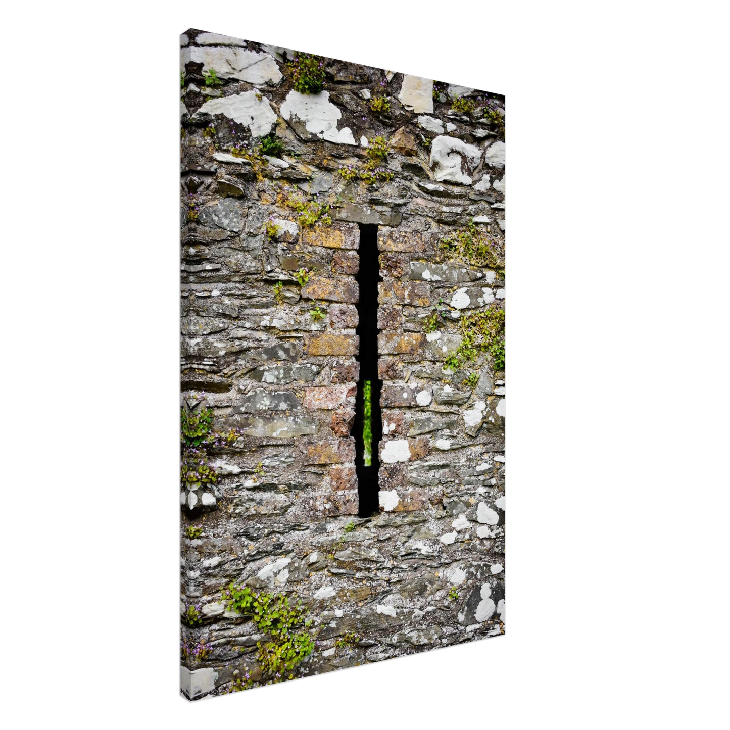 ef8913b7-ba54-498d-a8ed-60328ec0d206