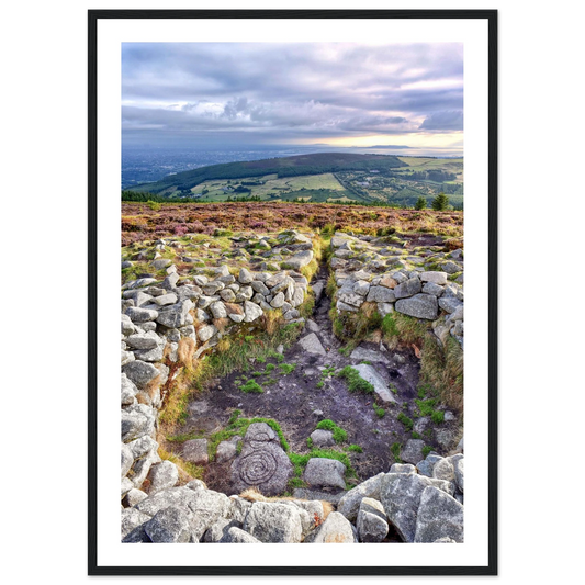 f02e4241-8be5-4b13-a24f-68e5d23b779e