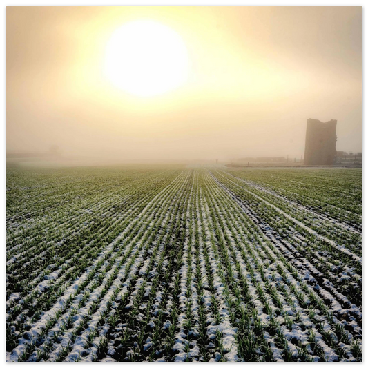 f0c98522-d52f-4588-a859-d8ab5c238513