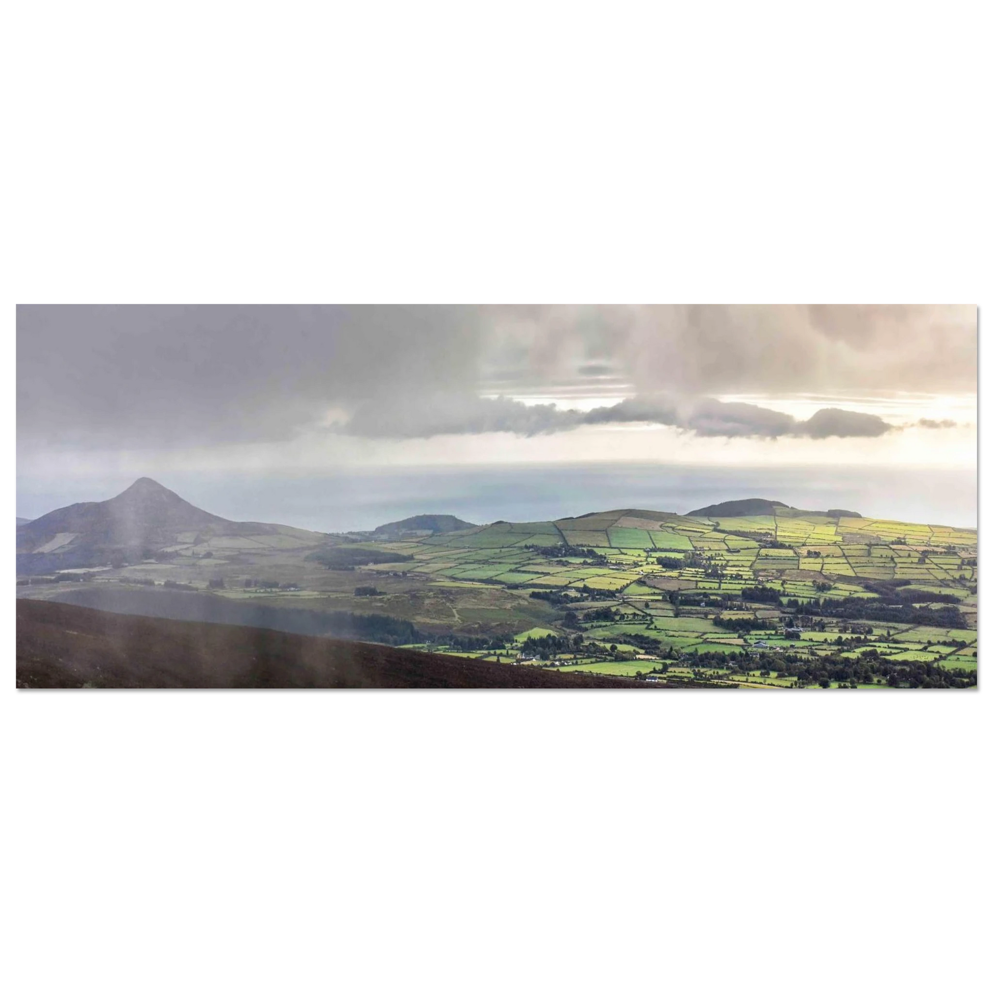 f0d46ac0-07a5-4c07-8dba-b7910feb669a