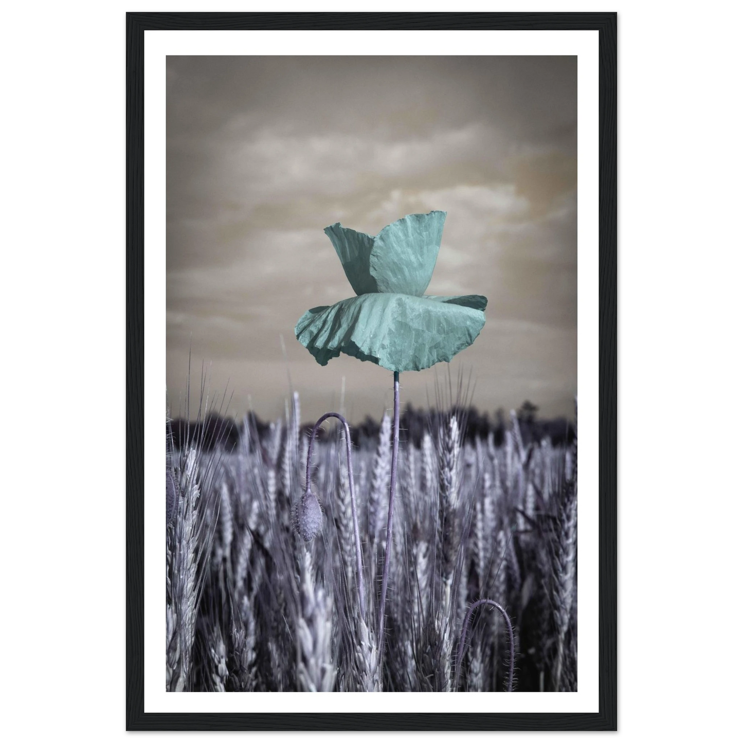 f0fb4ac8-346b-4c04-8218-81f72aafab56