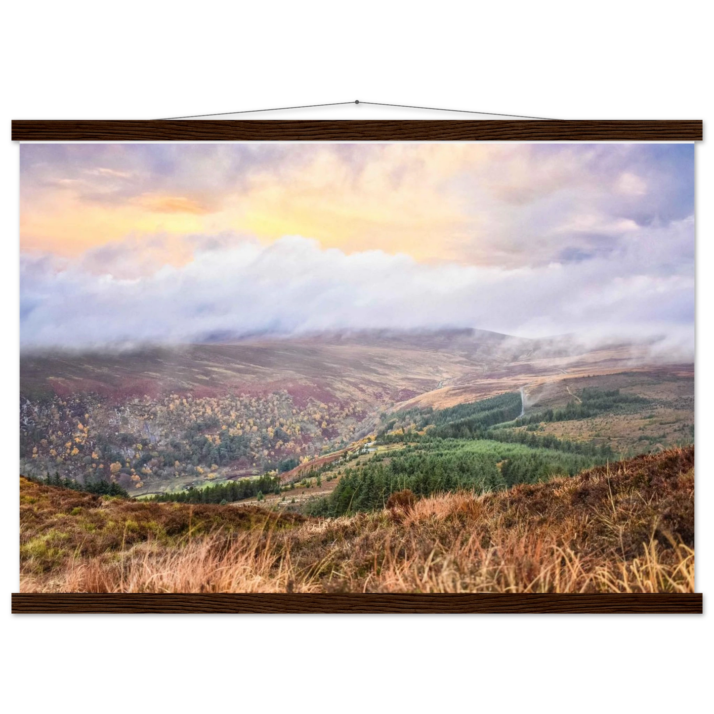 f0fca75b-4708-4c69-8960-e40d3969e5aa