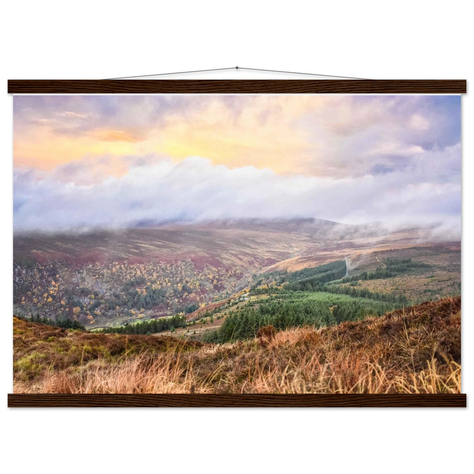 f0fca75b-4708-4c69-8960-e40d3969e5aa