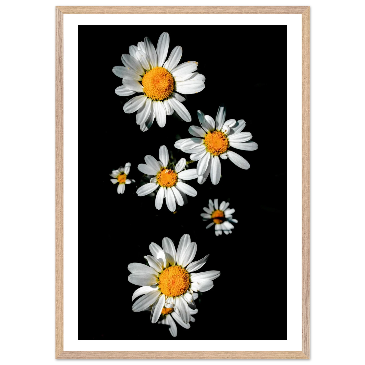 f1326b62-1f04-4ede-ae75-dd4b372a0d3b