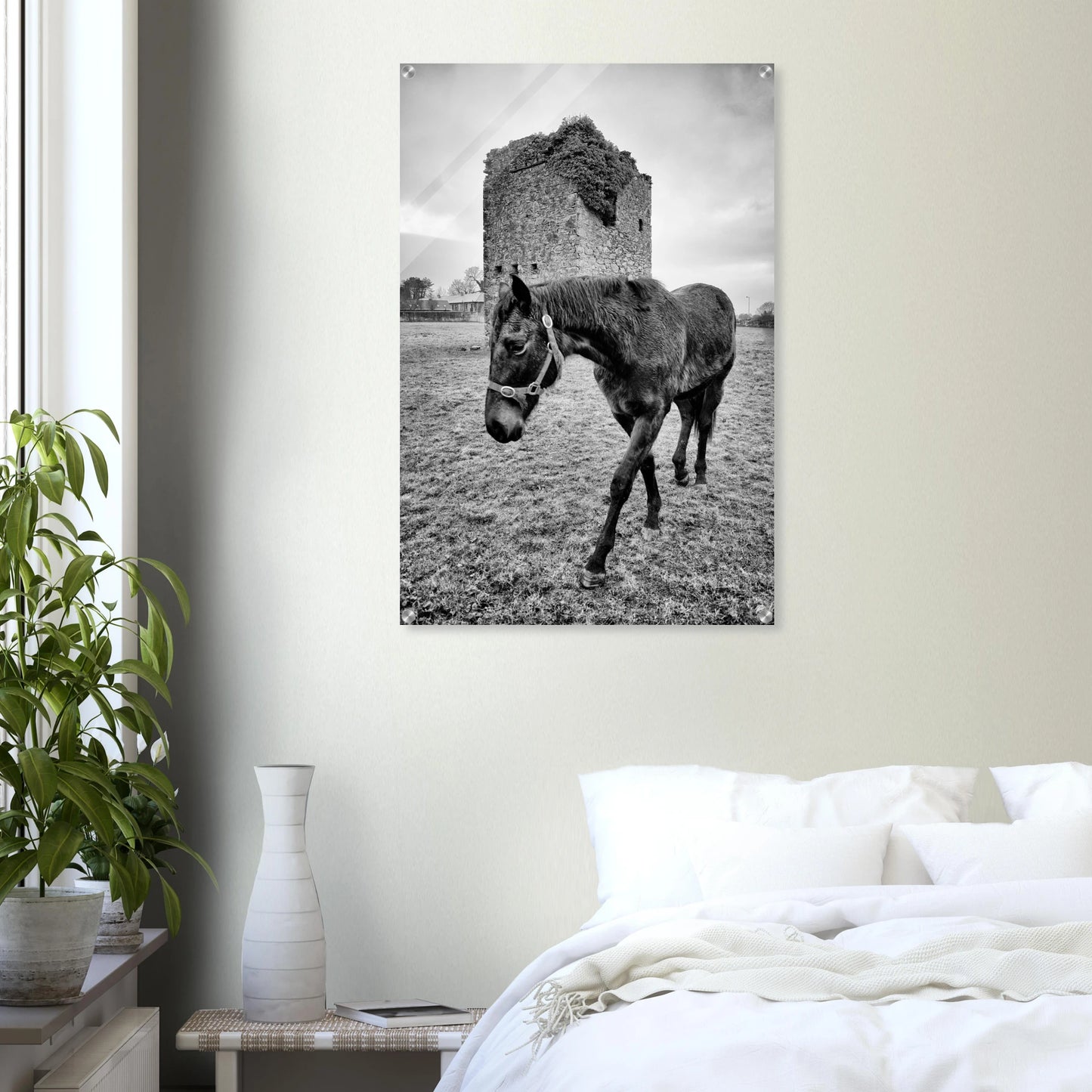 f16c850a-6208-4ca5-aa72-3b61a5495606