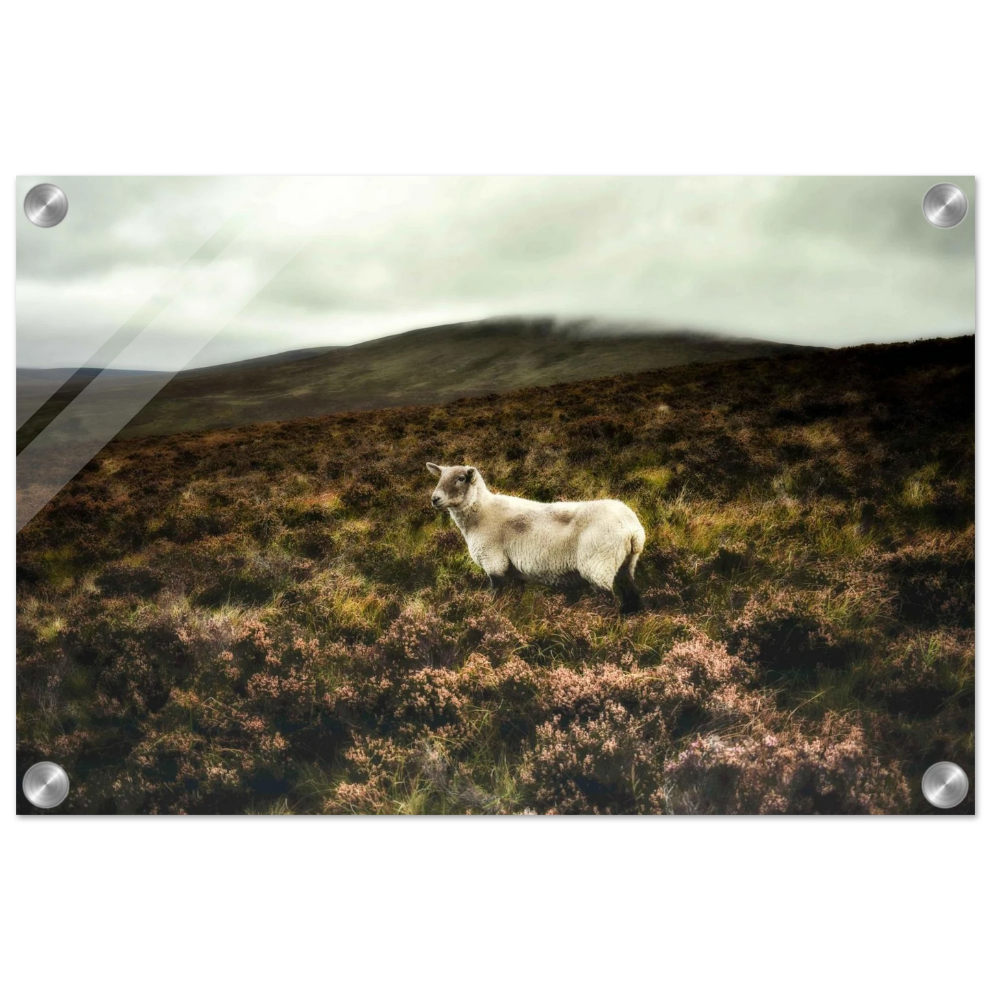 f2122333-da97-450a-b349-65a332f89616