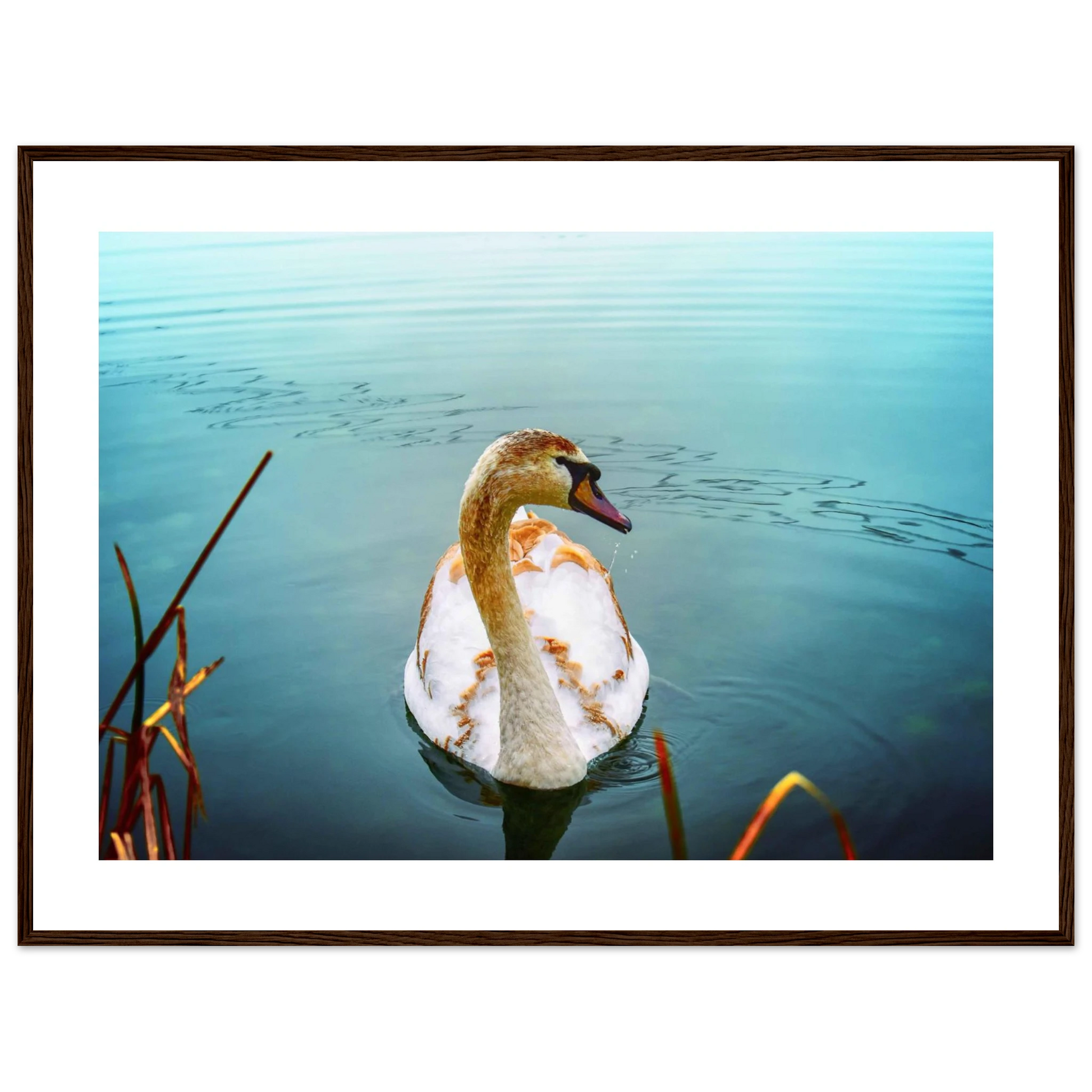 f29ac0d3-6cc0-4d31-b9cf-bb61ec932b3d