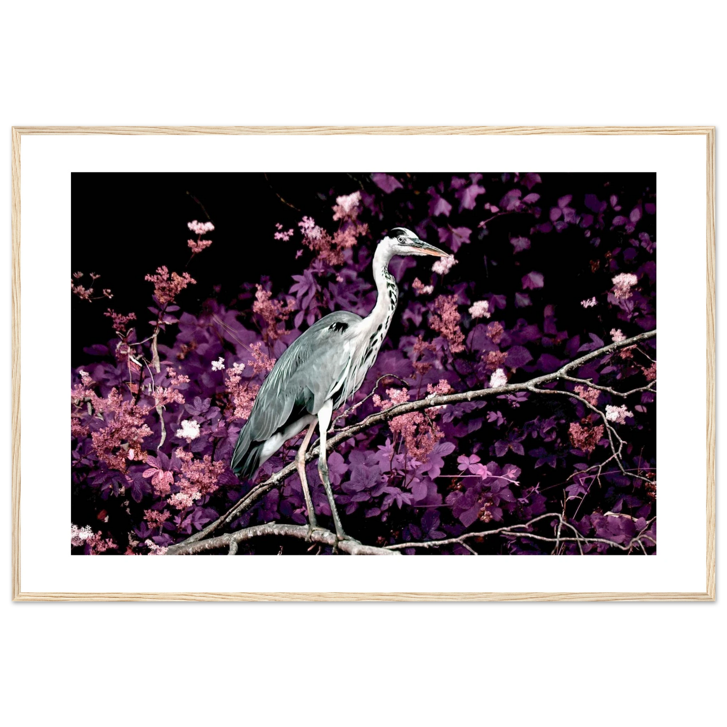 f2c522e5-3ca4-42fc-b563-321d0c81e1d0