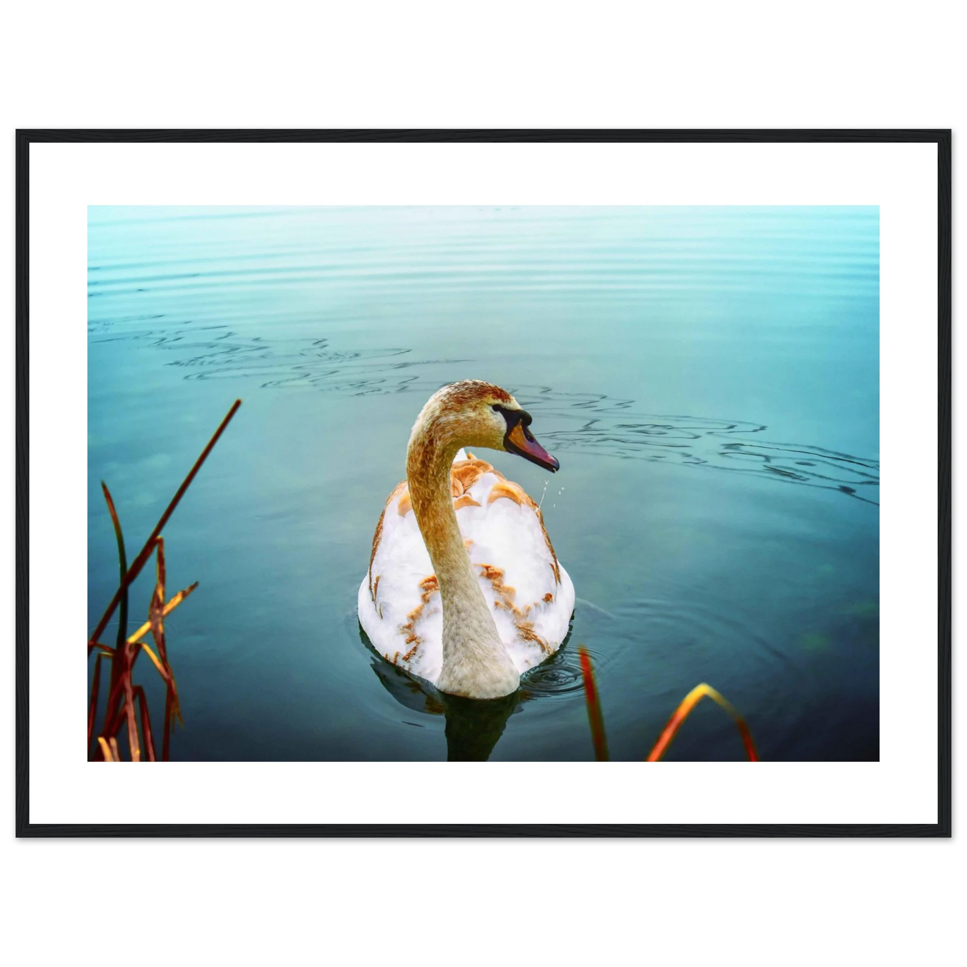 f3eacfcf-5f64-4764-854f-0604fe82df0c