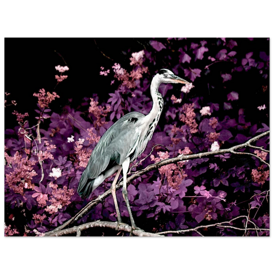 f4197c88-7452-485f-9a99-58a335177786