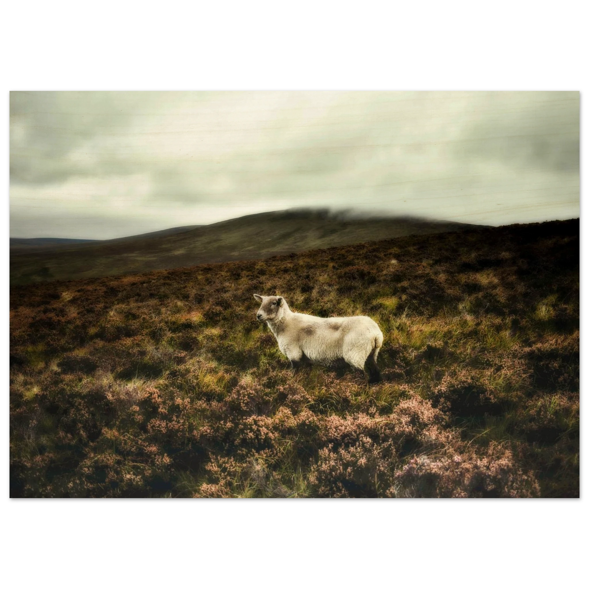 f53fd6f8-db40-43c0-acca-a88ae7aa17b9