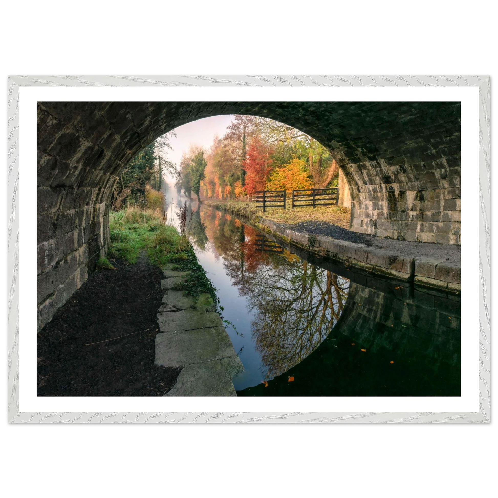 f55cbe4e-45d5-4f24-8771-0095825cb05a