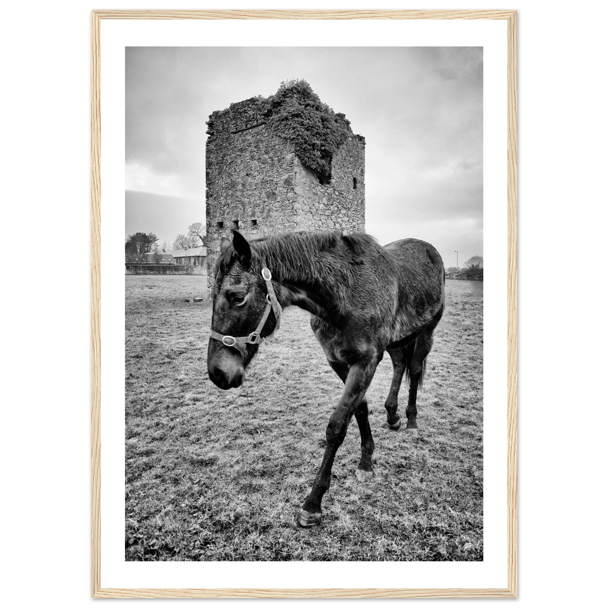 f563ffa7-dbf4-40db-81c4-17640b671611