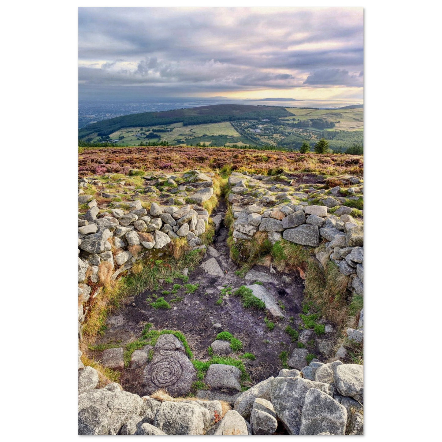 f568ce8b-1641-4a81-9ff1-33650bb0eb6f