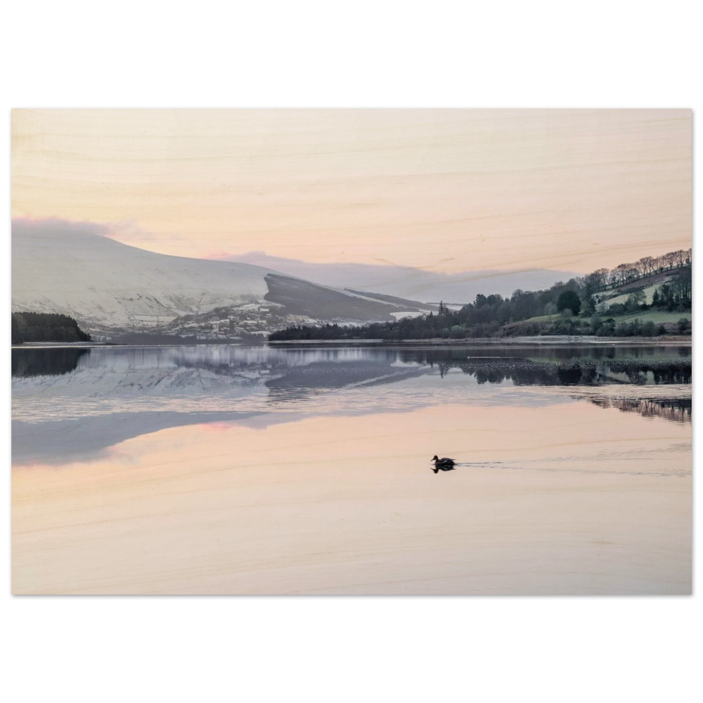 f5af4e27-792b-44c1-8a29-333ca255704f