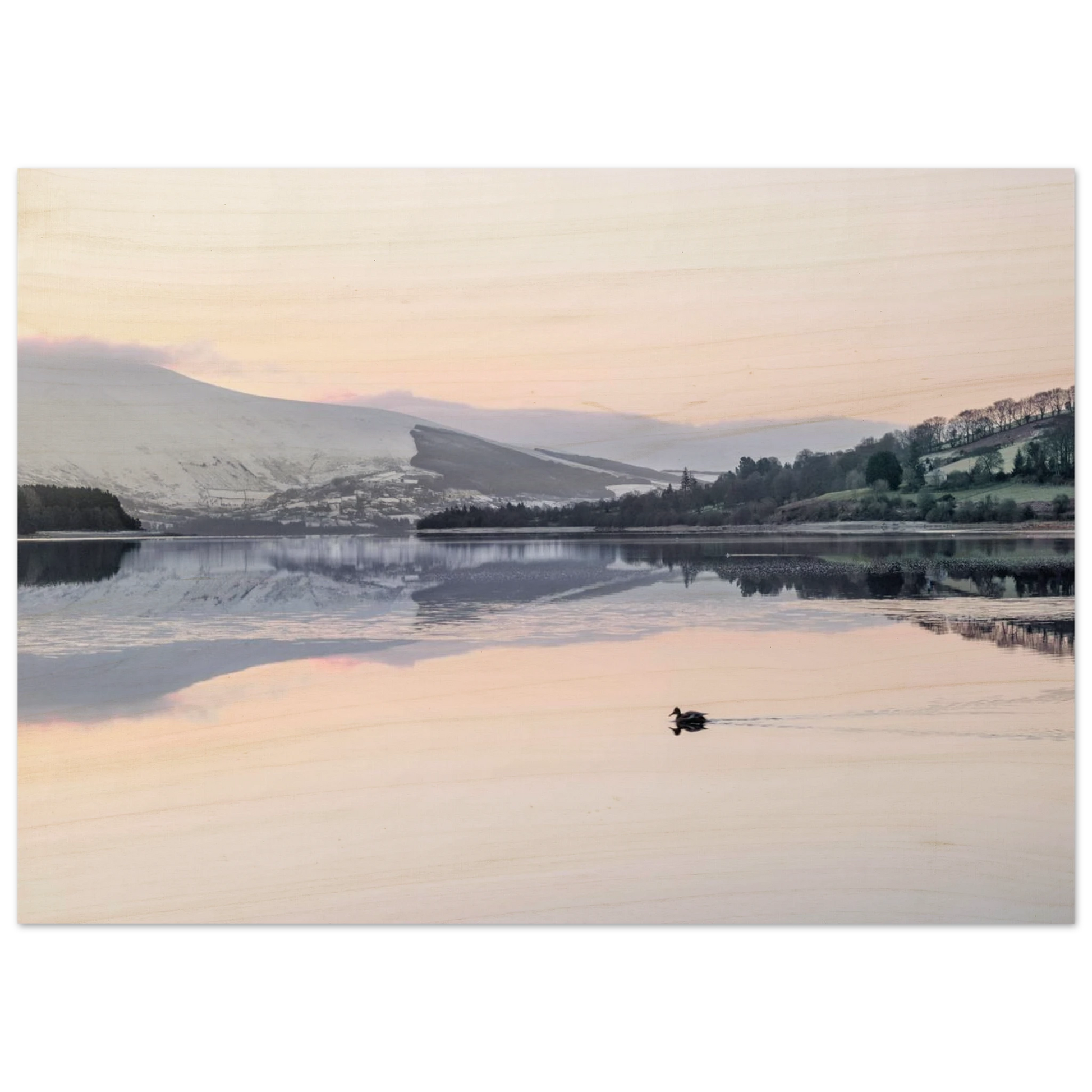 f5af4e27-792b-44c1-8a29-333ca255704f