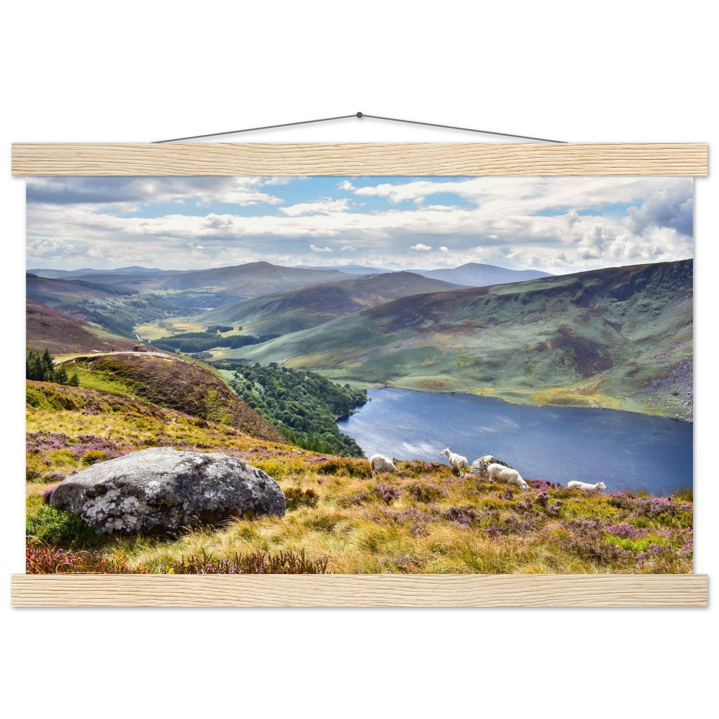 f5bb5db4-8234-4080-bcca-ccea9f5f38d6