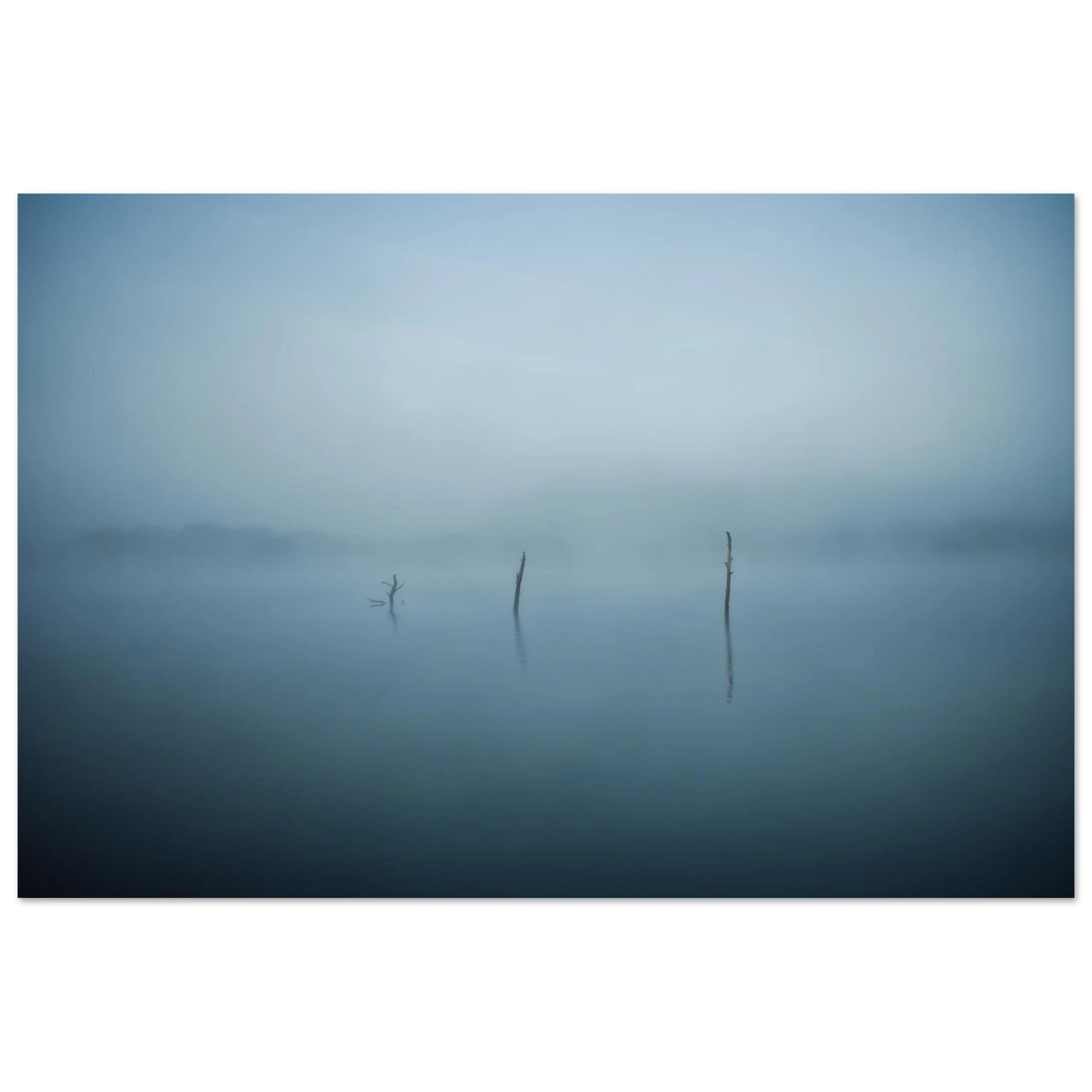 f6a82905-3263-44e1-b350-f02be09112d2