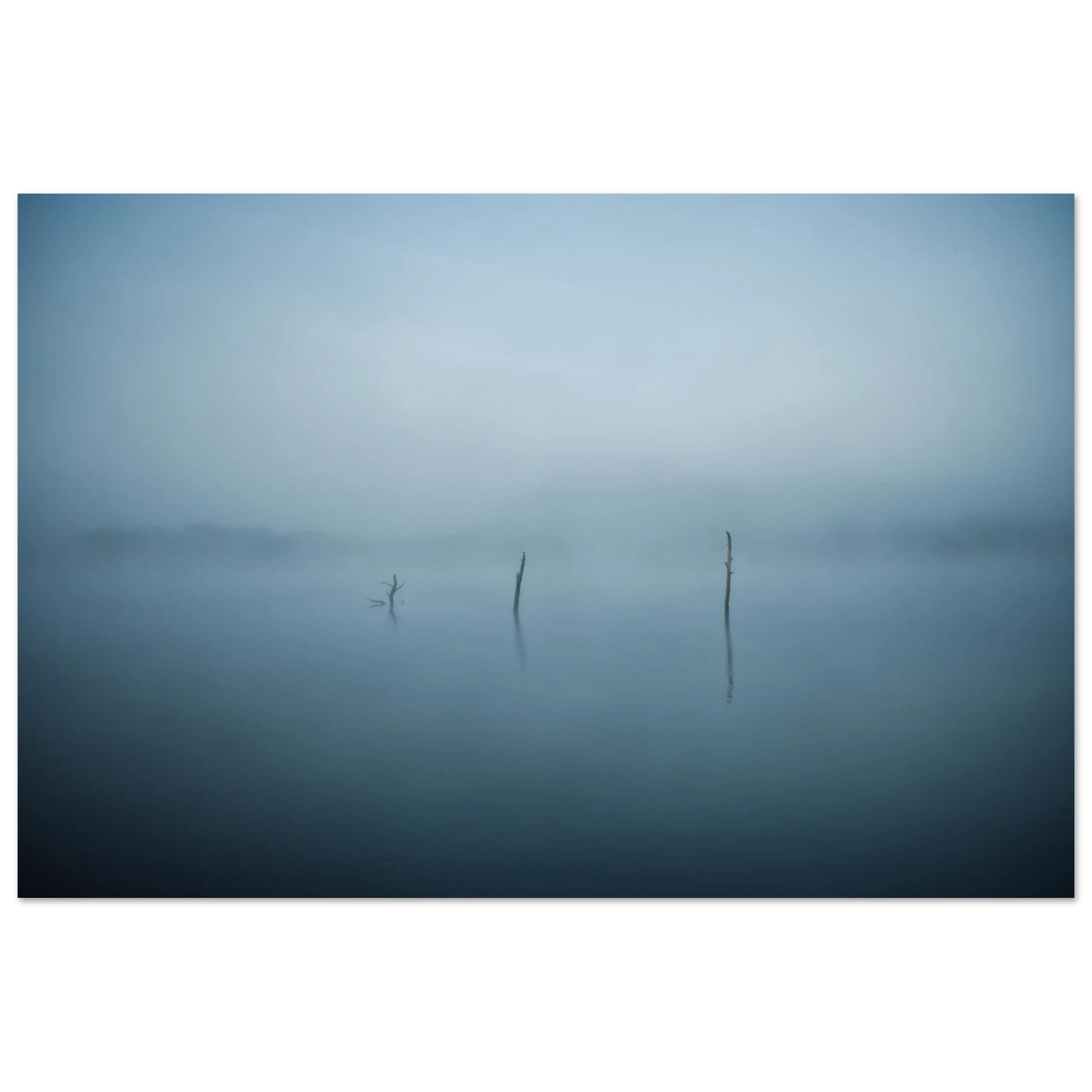 f6a82905-3263-44e1-b350-f02be09112d2