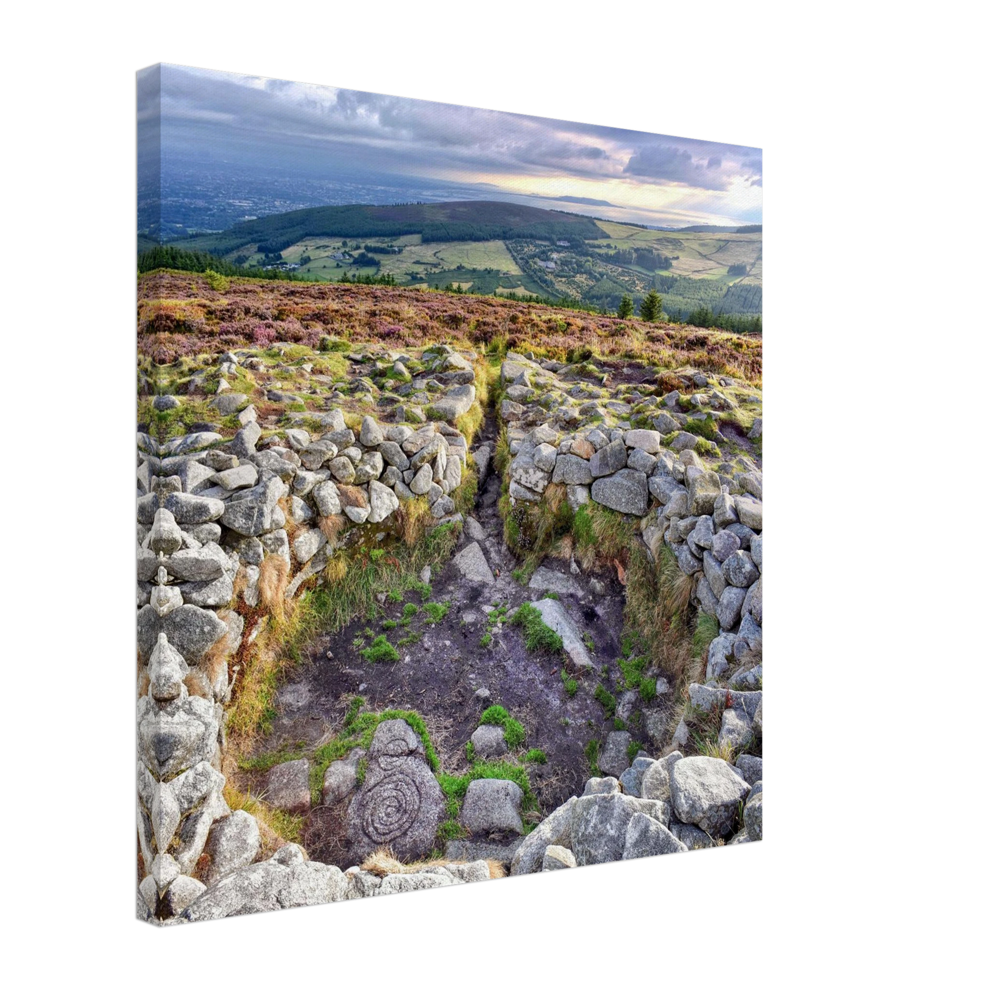 f6db5565-59c8-40a5-8864-e51f4c8e84d1