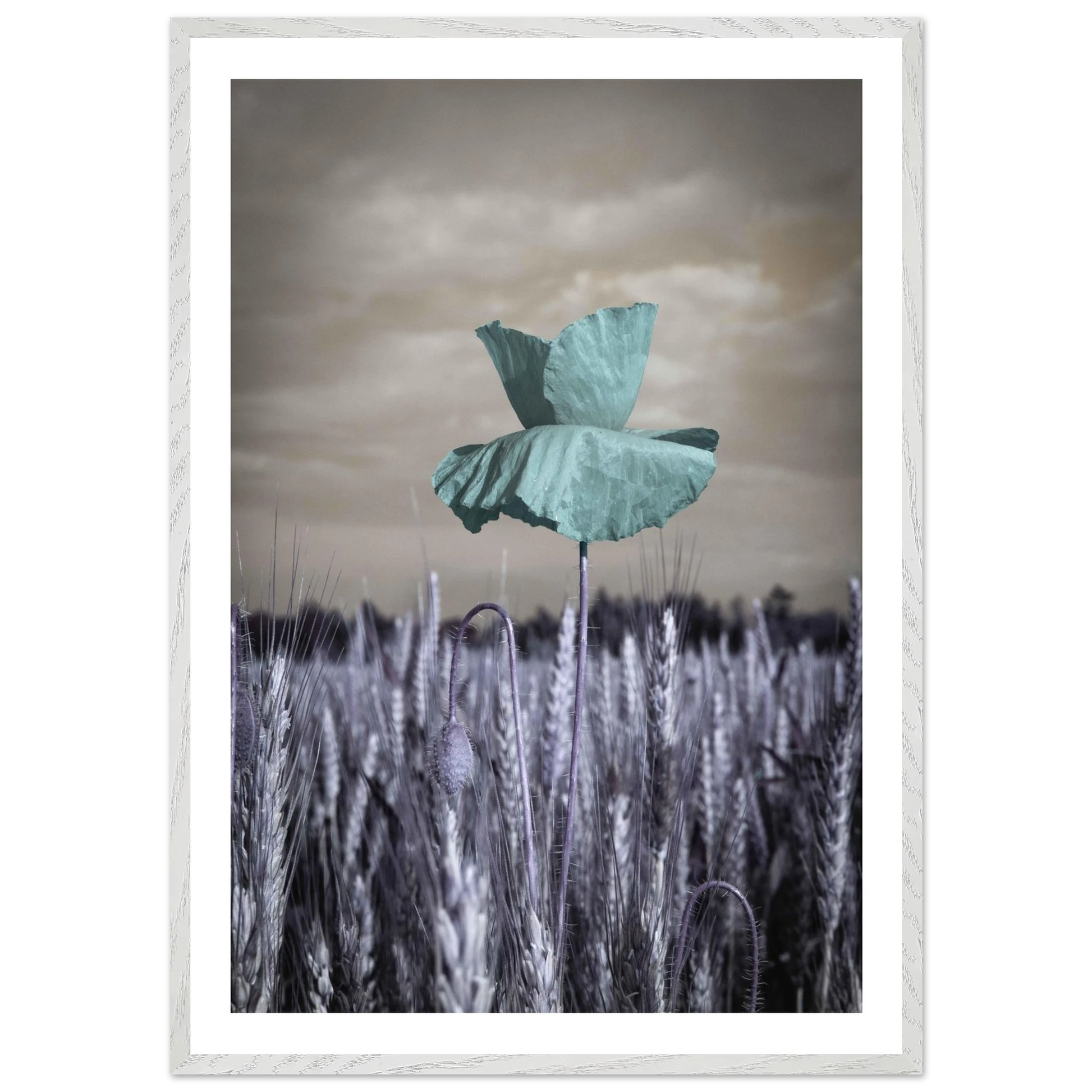 f707b8ea-5cee-404e-8d09-a91ad5d32320