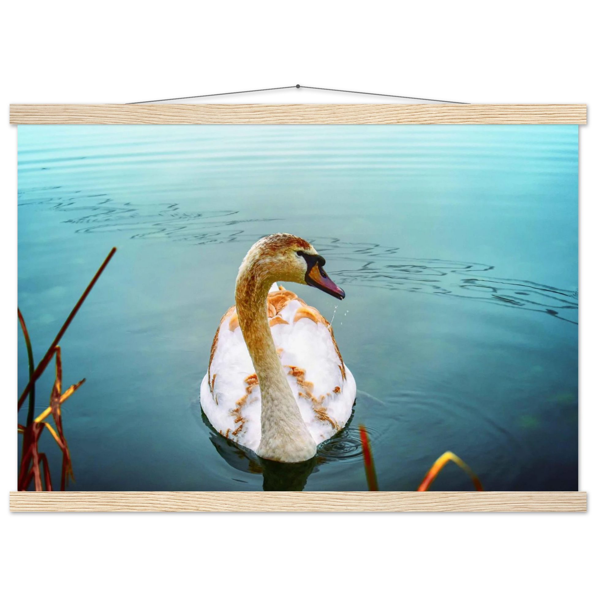 f7253bca-b8d0-4993-a21e-63da236f873a