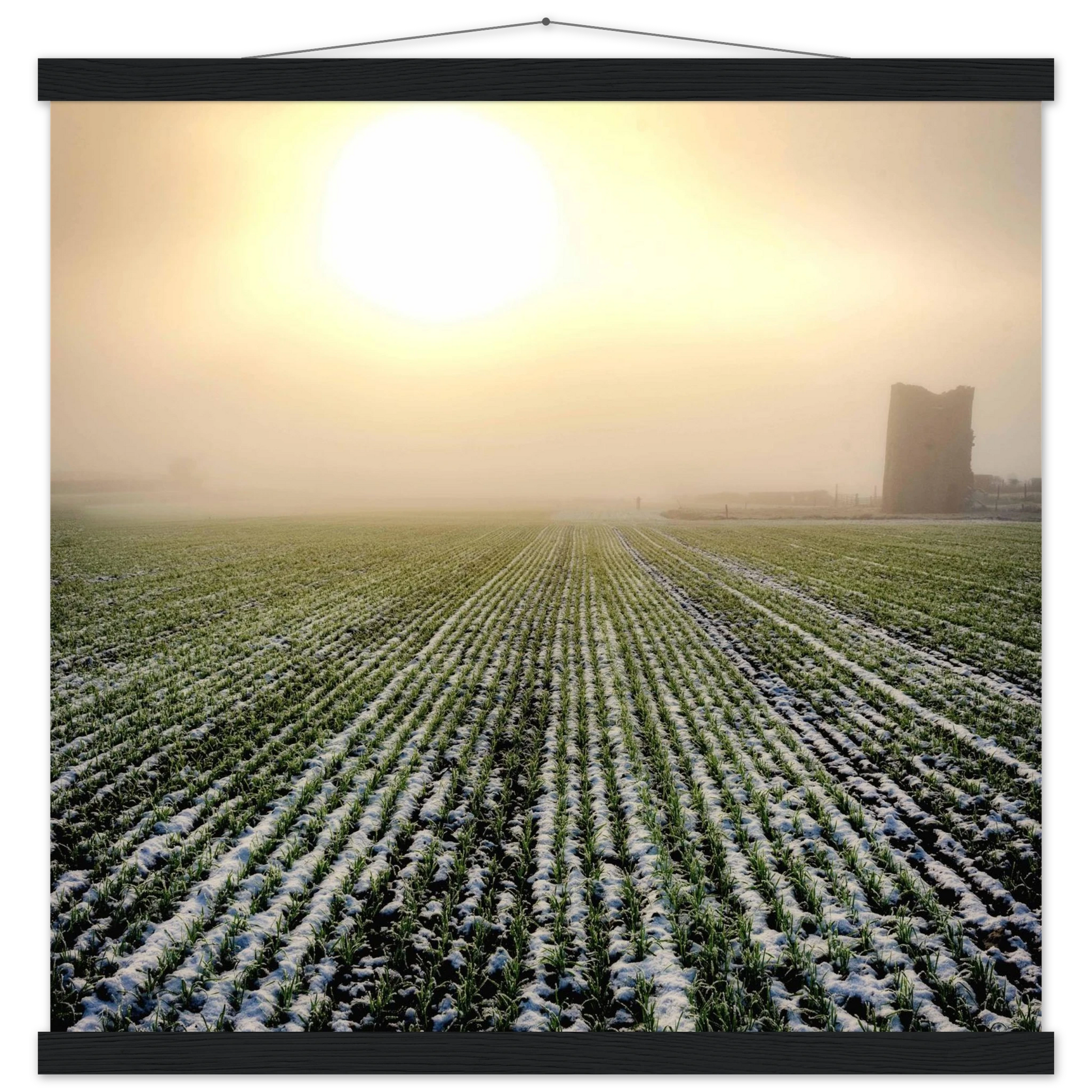 f8e74b1d-a55d-40d2-b4bf-feb8e860f06d